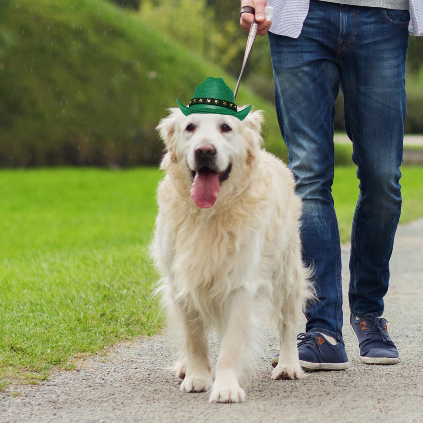 Choyaxo Pet Cowboy Costume Cosplay Cap Halloween Costumes For Dogs Cat Pet Party Decoration Mini Cowboy Hat (Green, Small)