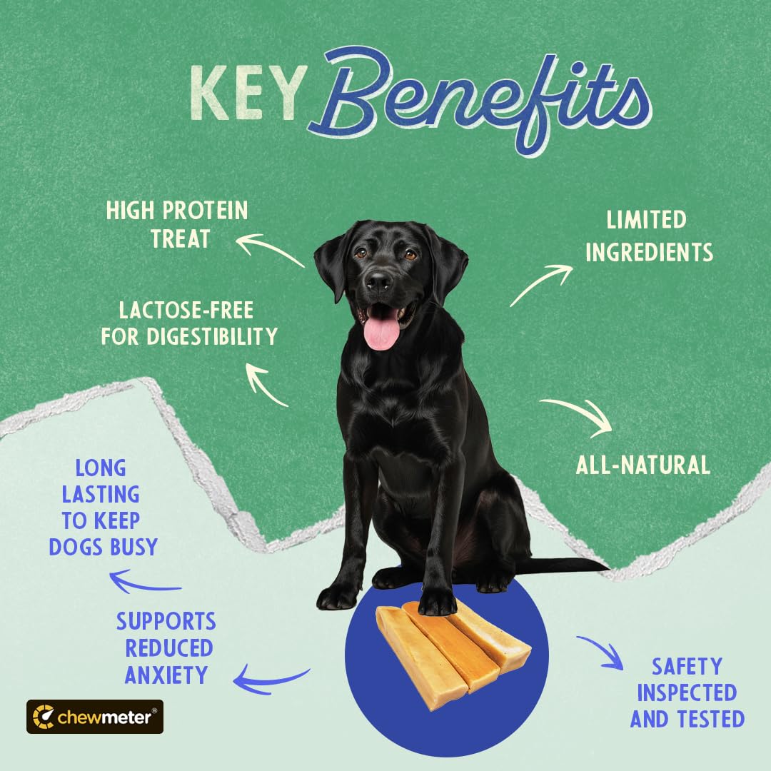 Chewmeter Himalayan Yaky Cheese Chew, 100% Natural, Long Lasting, Gluten Free, Healthy & Safe Dog Treats, Lactose & Grain Free,