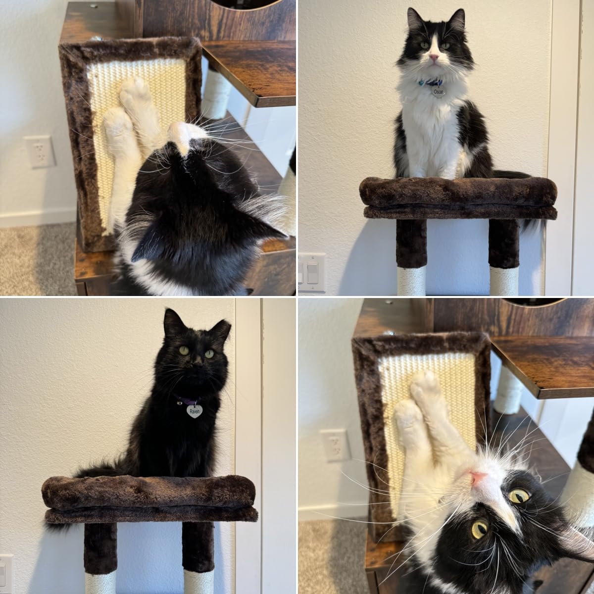 YITAHOME Modern Cat Tree with Litter Box Enclosure, Combo Endtable and Large Cat Tower with Basket, 4-in-1 Litter Box Furniture