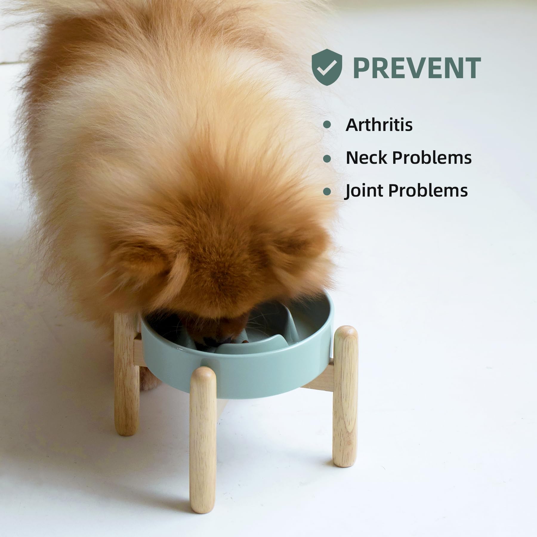 Havniva 6.1Inch Ceramic Raised Slow Feeder Dog Bowl Set, Elevated Wooden Stand For Small Dog And Cat, Puzzle Slow Dish, Preventi