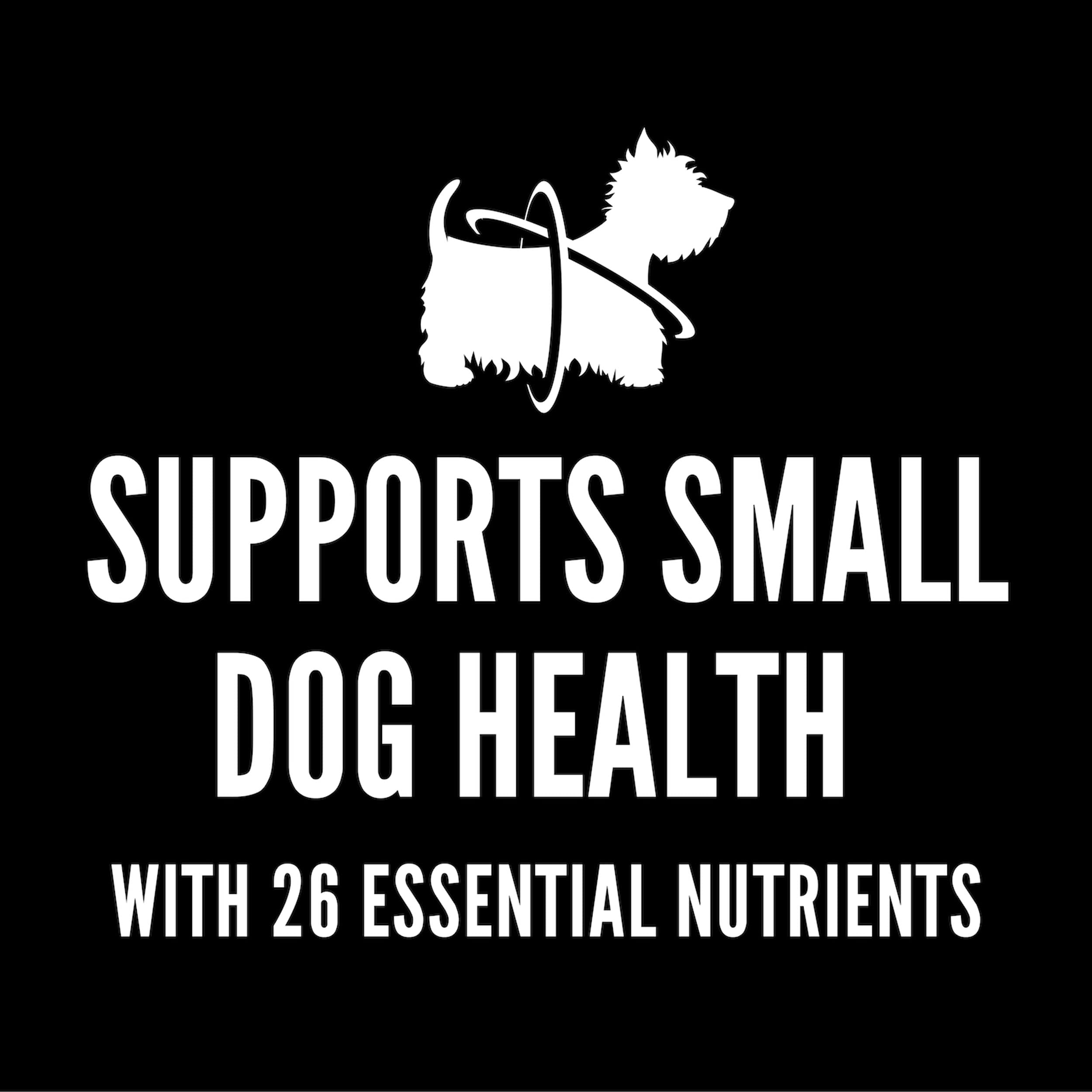 Cesar Small Breed Dry Dog Food Rotisserie Chicken Flavor and Spring Vegetables Garnish, 12 lb. Bag