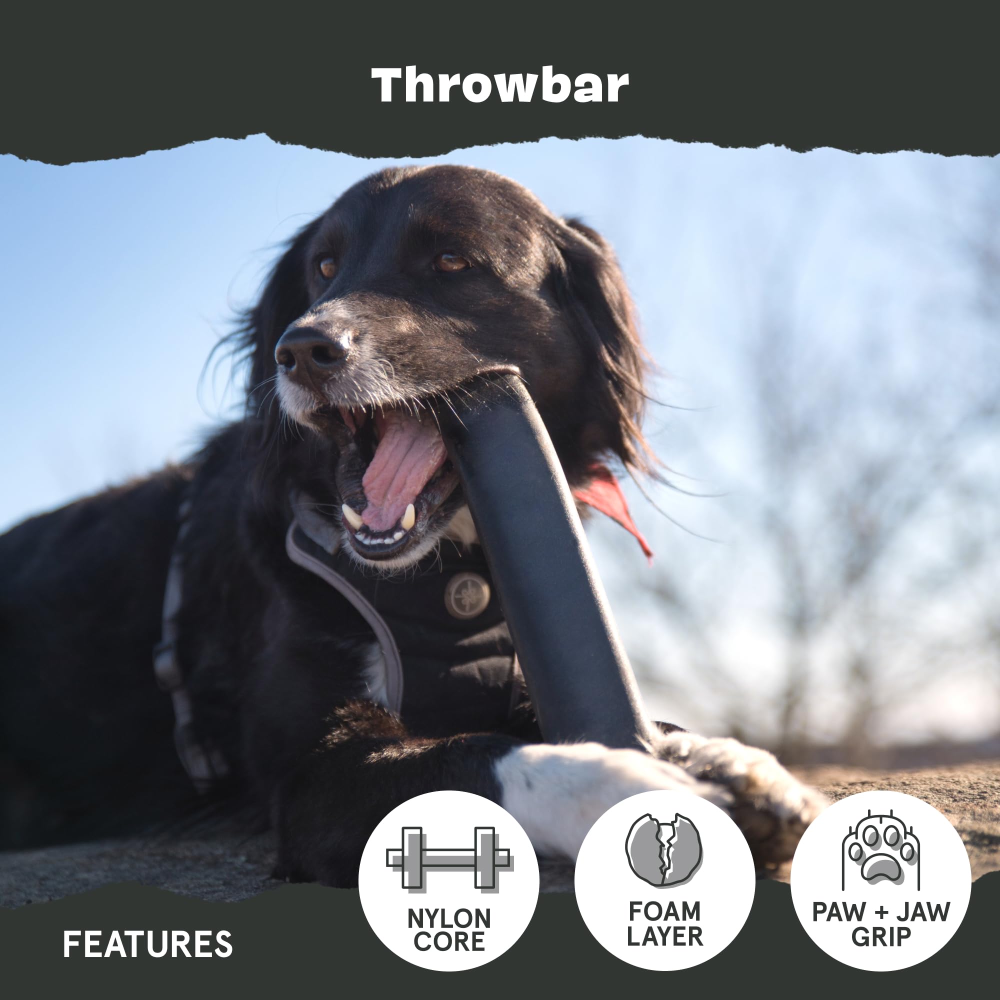 Barkbox Super Chewer Tough Dog Fetch Toy For Aggressive Chewers, Durable Rubber & Nylon For Small, Medium, & Large Dogs & Puppie