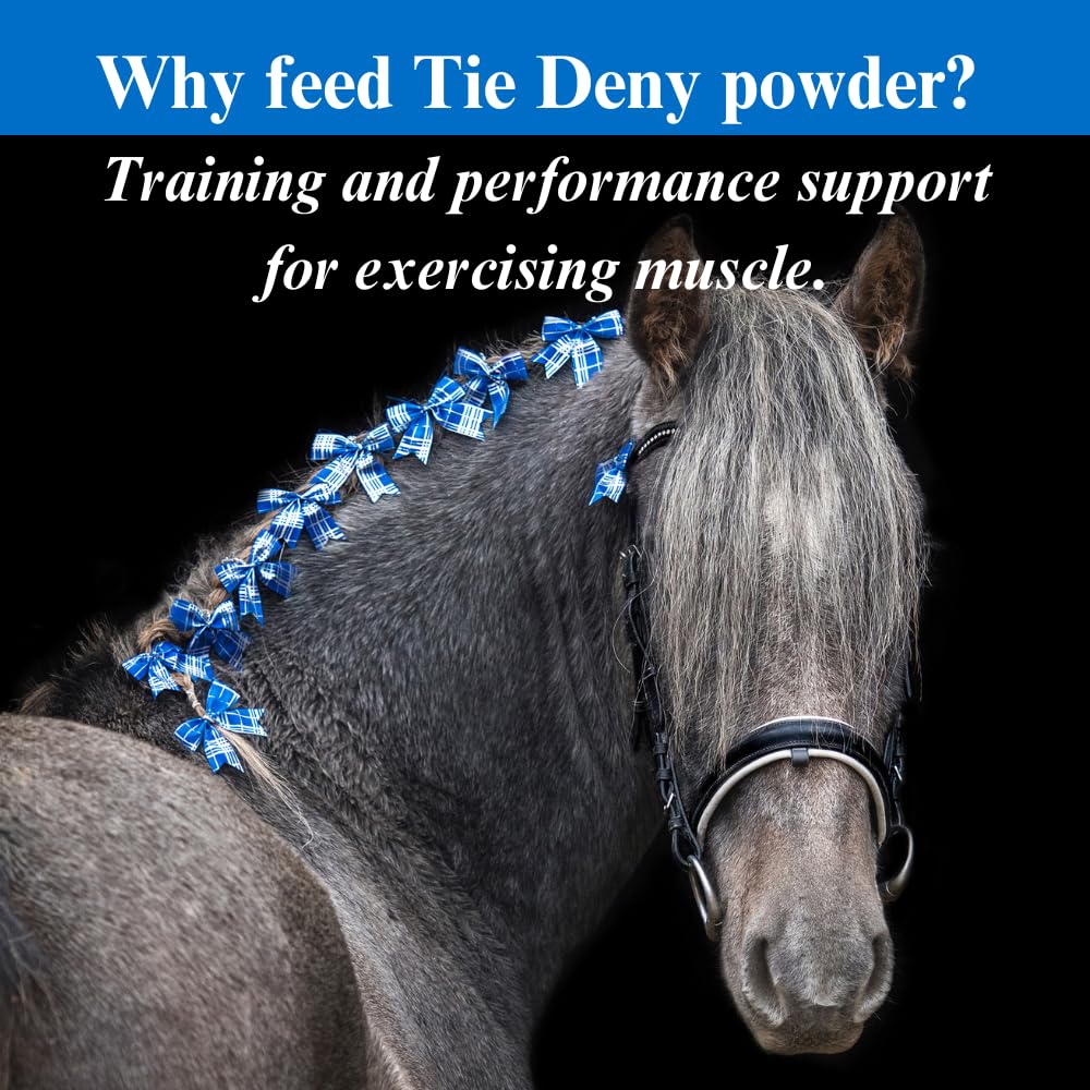 SU-PER Energy Horse Supplement - Supports Muscle Function & Circulation - 2.5 lbs (2 Pack)