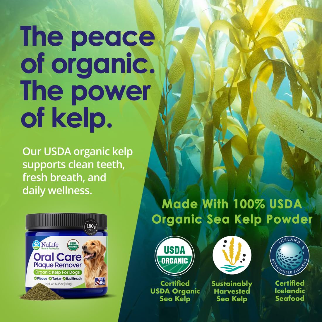 Dog Teeth Cleaning Powder, Dog Plaque and Tartar Remover, Bad Breath Treatment for Dogs with USDA Organic Sea Kelp Powder, Dog D