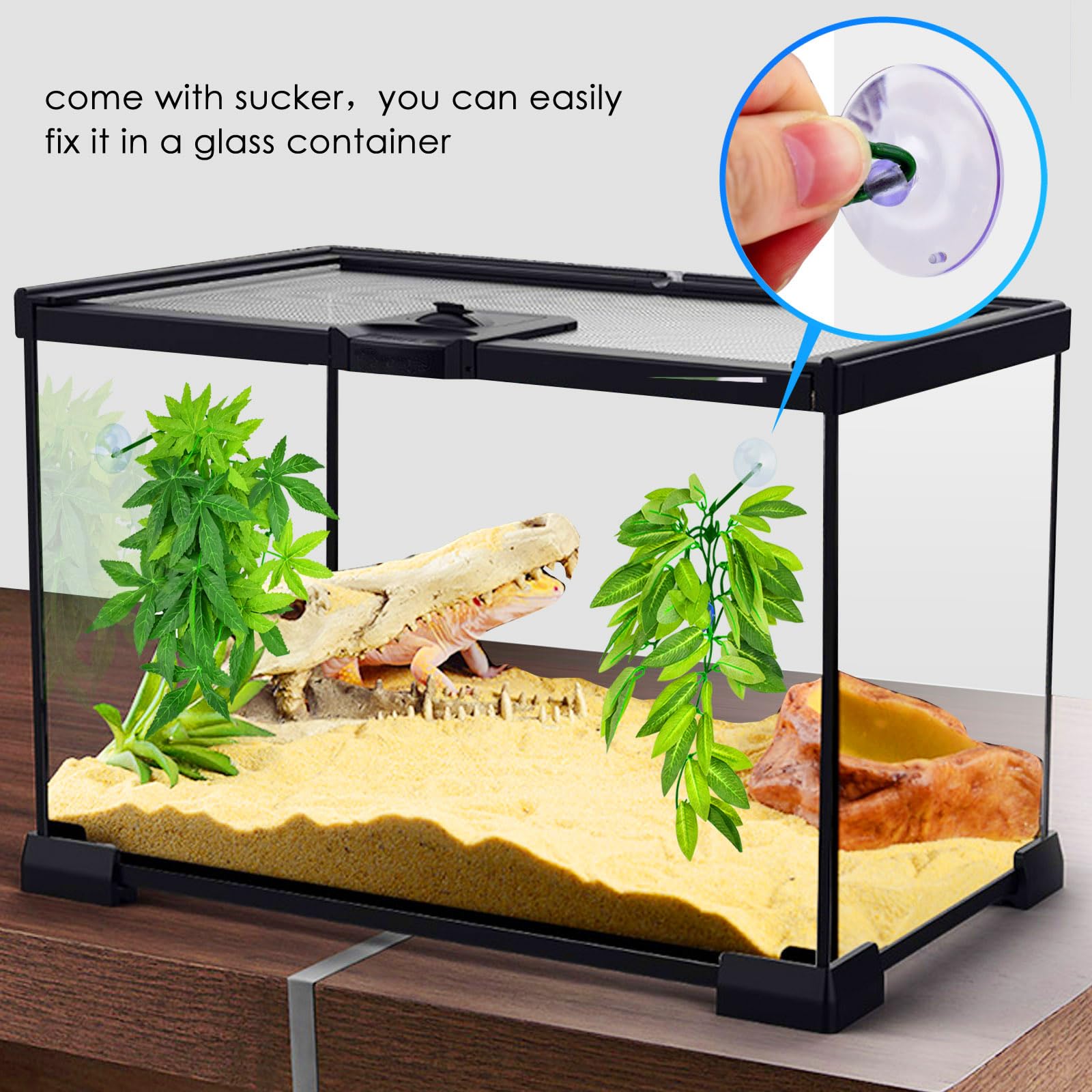 KATUMO Reptile Plants, 3PCS Amphibian Hanging Plants with Suction Cup for Lizards, Geckos, Bearded Dragons, Snake, Hermit Crab T