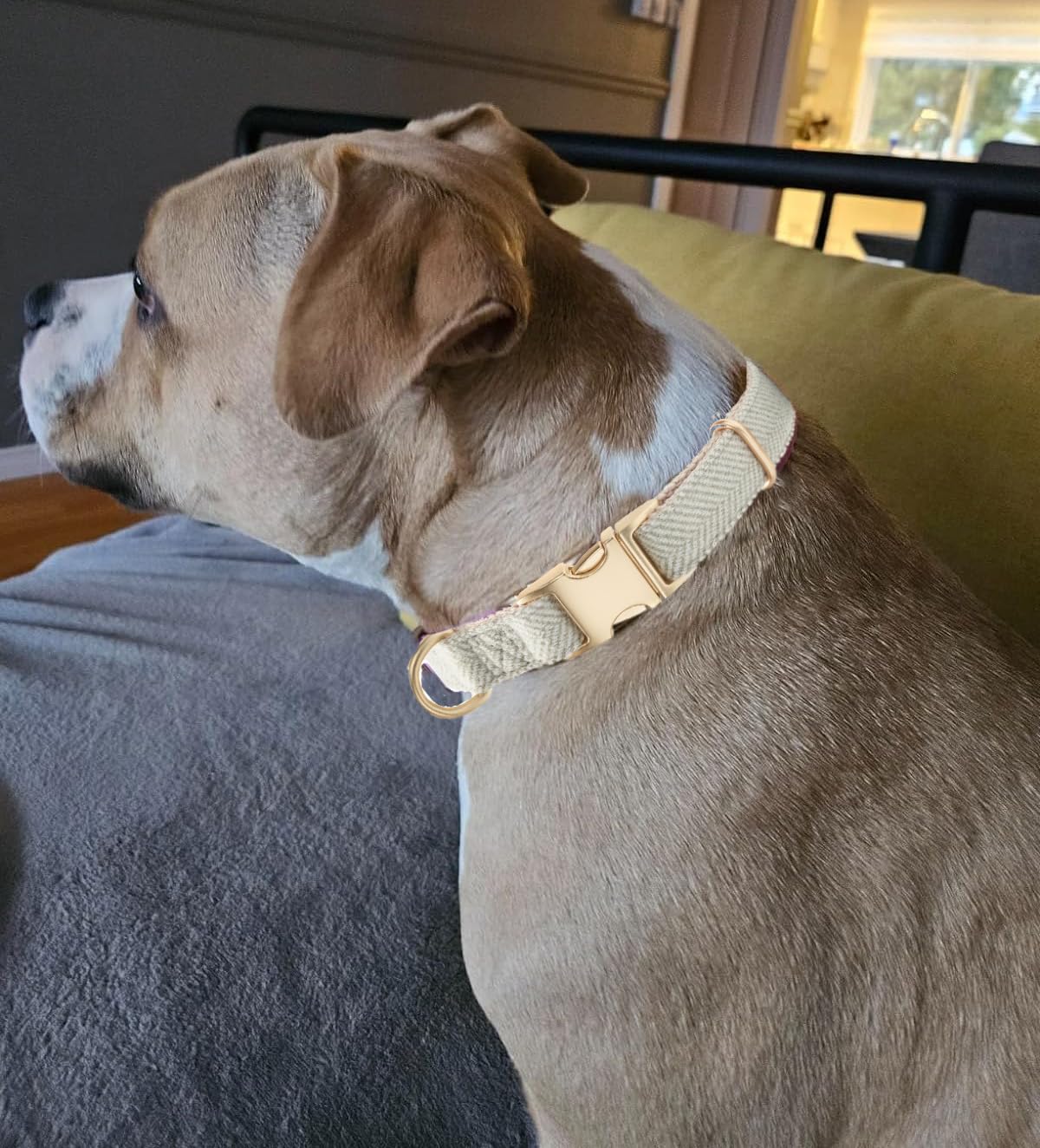 YUDOTE Soft Cotton Hemp Dog Collar with Metal Buckle Adjustable Tweed Dog Collars for Small Medium Large Dogs(Grey,Medium)