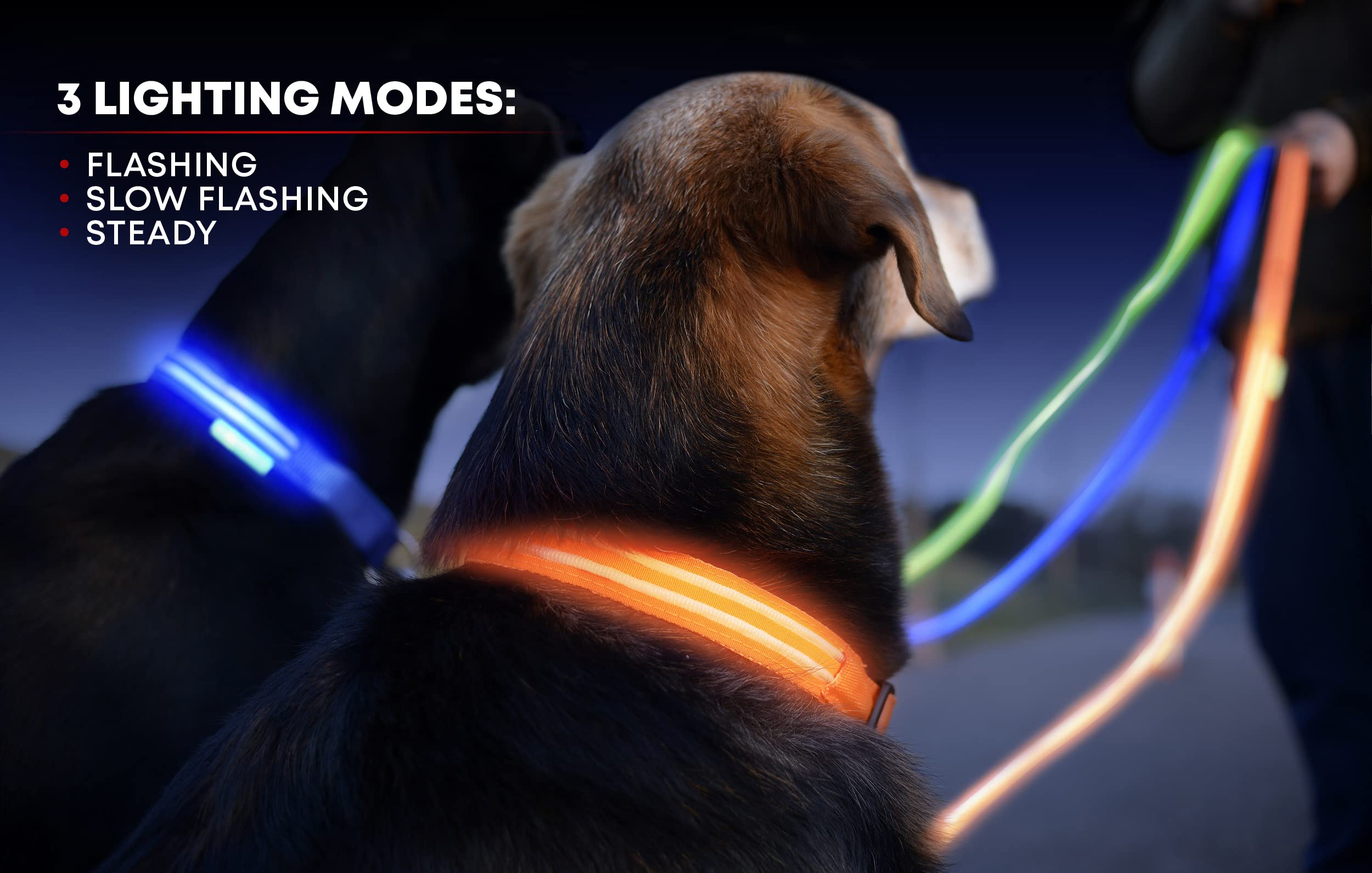 Illumiseen LED Light Up Dog Collar - USB Rechargeable, Weatherproof, X-Large (Bright Orange)