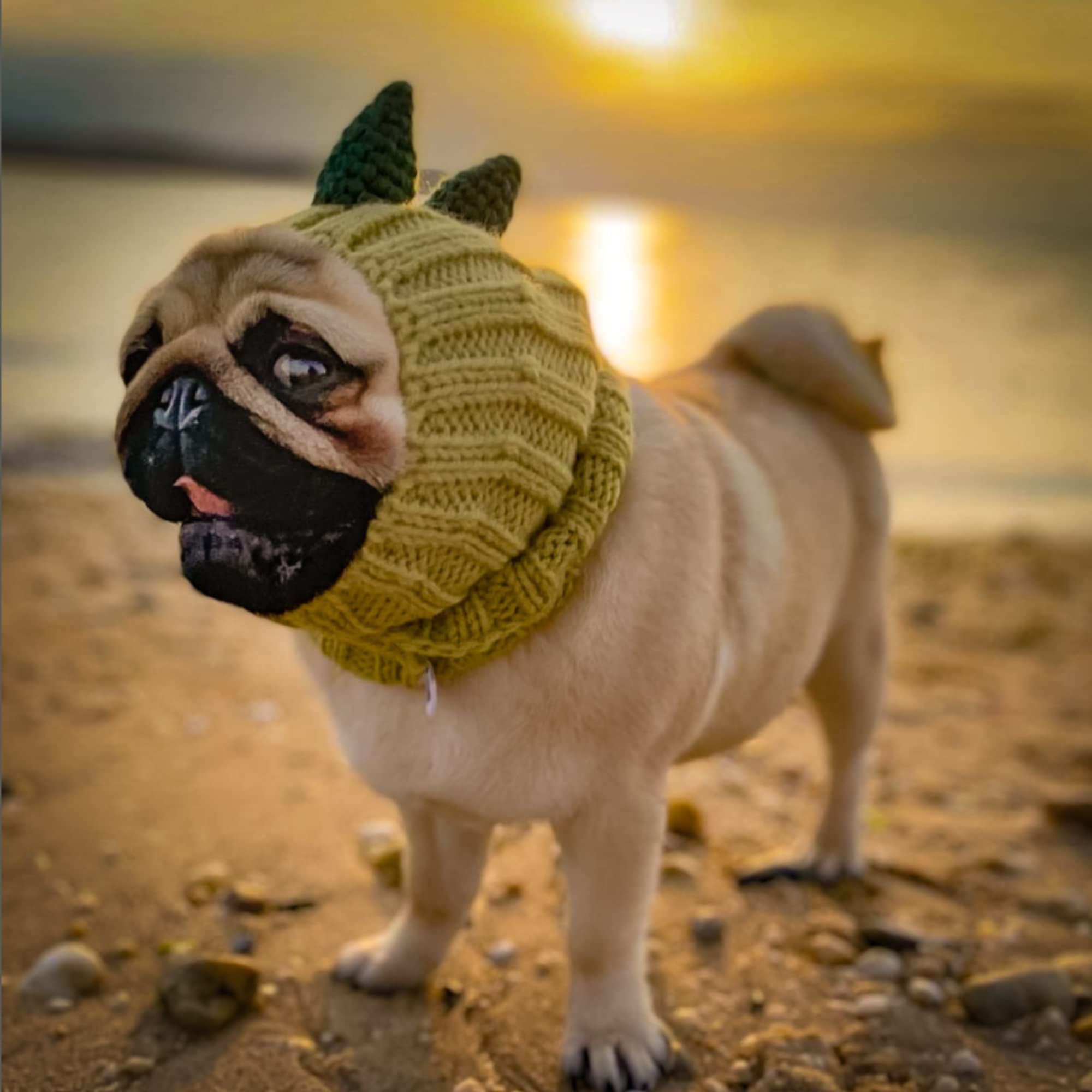Zoo Snoods Dinosaur Costume for Dogs - Warm No Flap Ear Wrap Hood for Pets, Godzilla Dog Outfit for Winters, Halloween, Christma