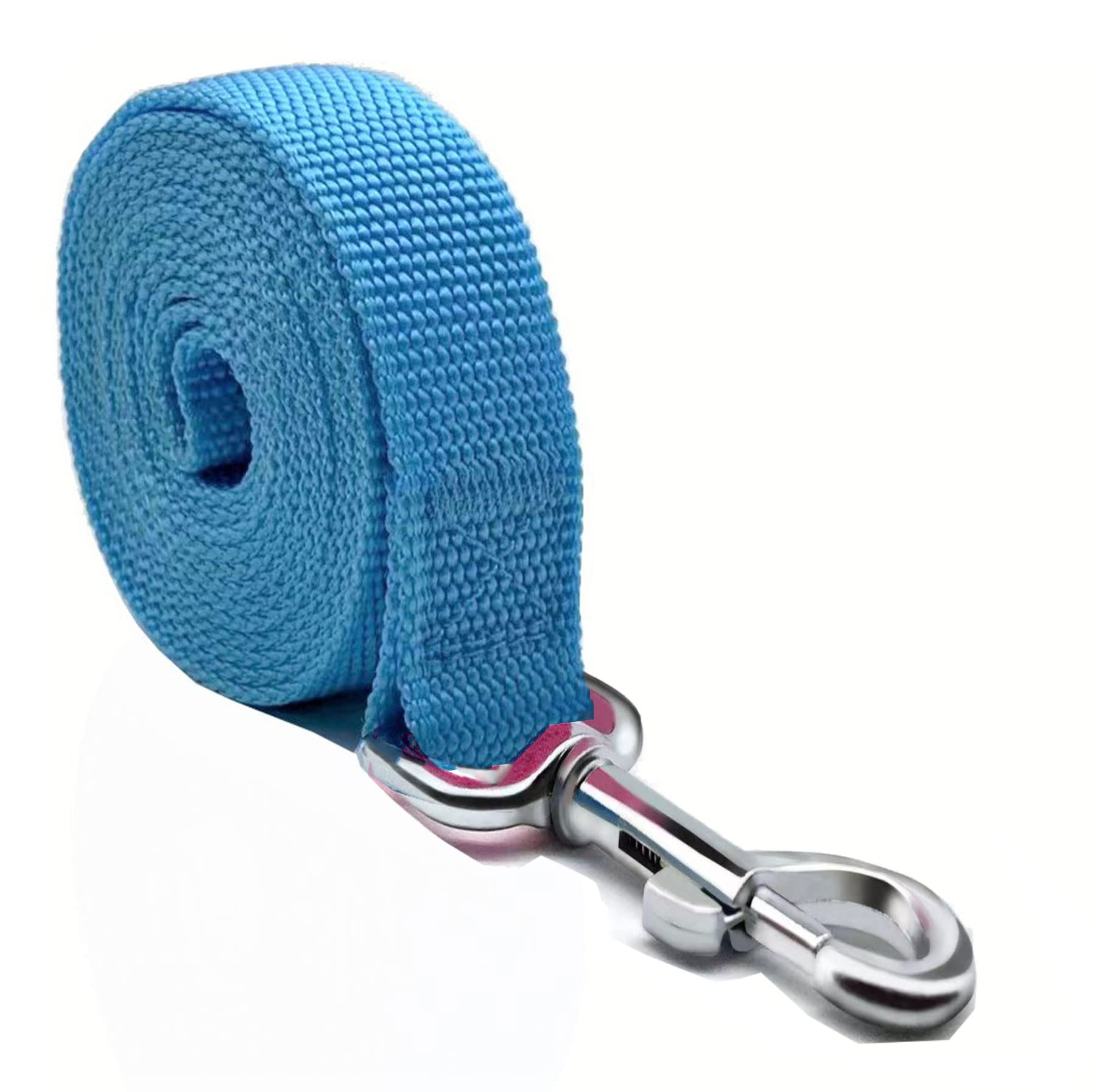 Nylon Dog Leash 4 Ft 5 Feet 6 Foot Long, Walking Training Dog Leashes For Medium Large Dogs, 1 Inch Wide(6Ft,Blue)