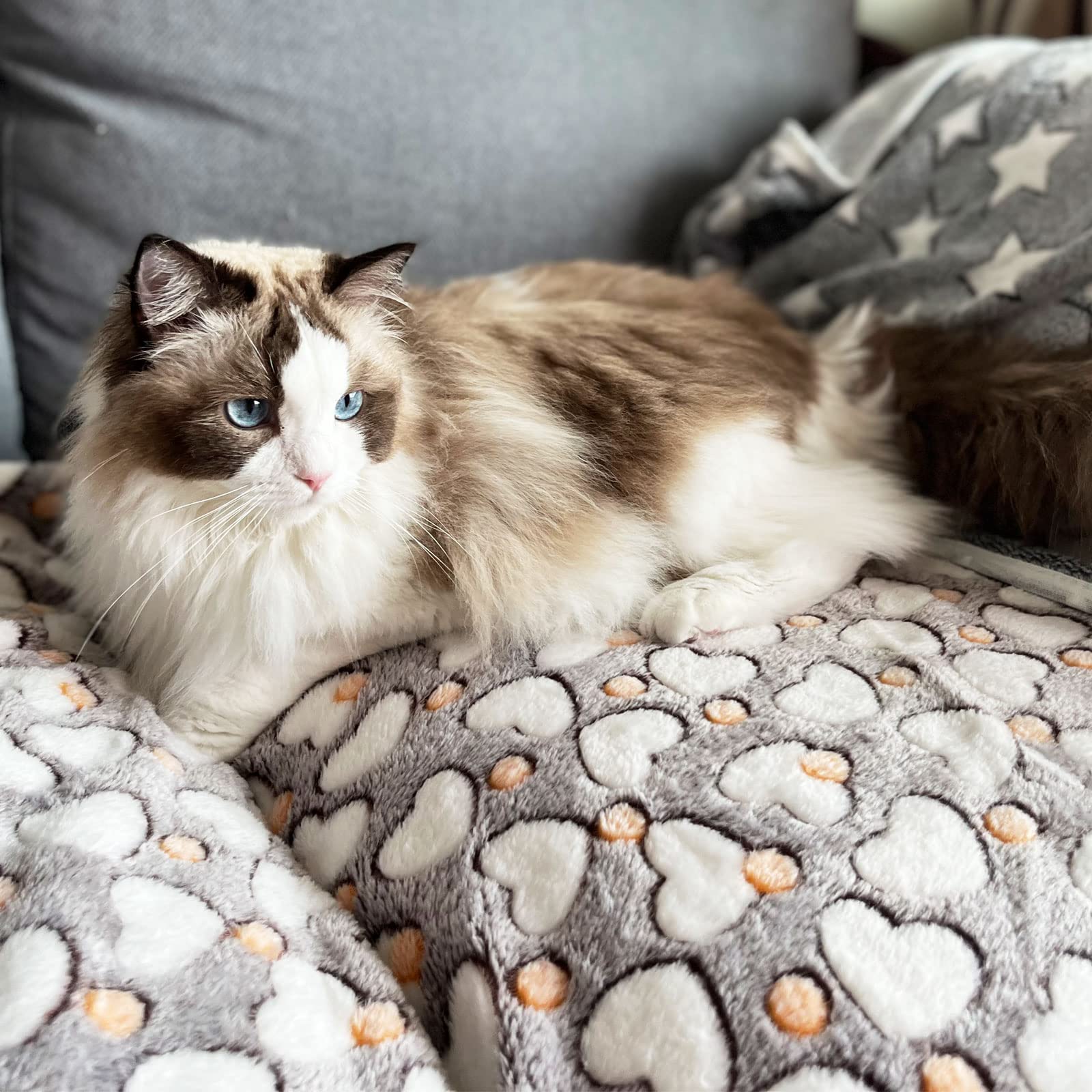 1 Pack 3 Puppy Blankets Super Soft Warm Sleep Mat Grey Cute Print Blanket Fluffy Fleece Pet Blanket Flannel Throw Dog Blankets For Small Dogs Puppy Dogs Fluffy Cats,Love-Large(40'X30')