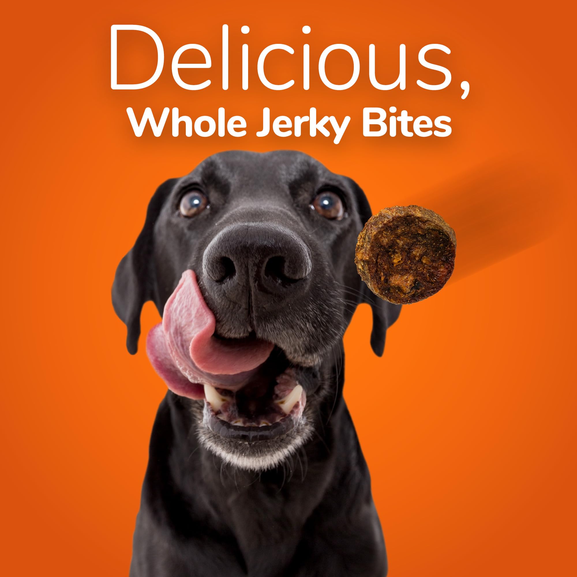 Fruitables Healthy Dog Treats - Whole Jerky Bites for Dogs - Alaskan Salmon & Pear Flavored - 5 Ounces