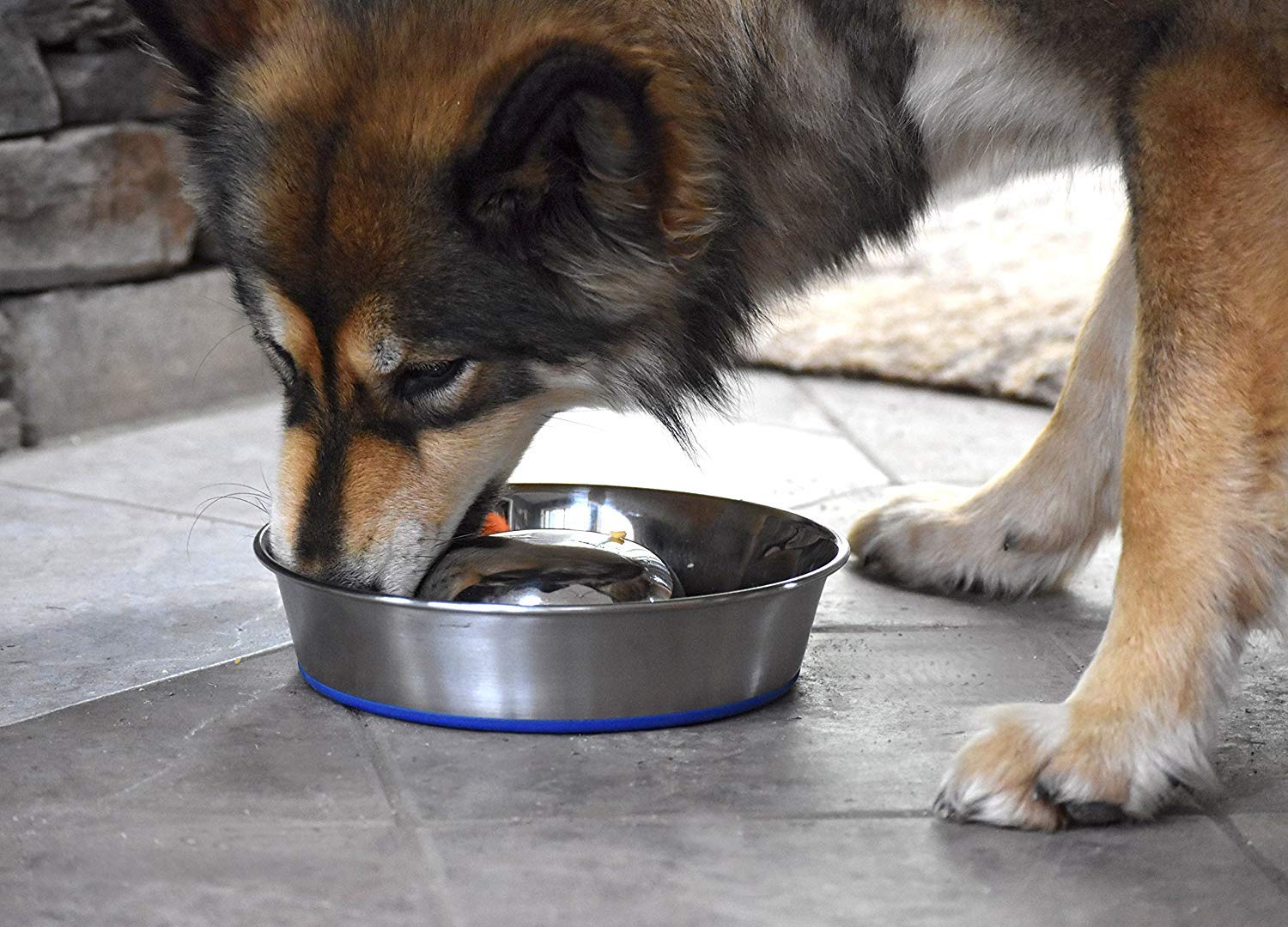 OurPets DuraPet Slow Feed Premium Stainless Steel Dog Bowl, Silver (2040010301)