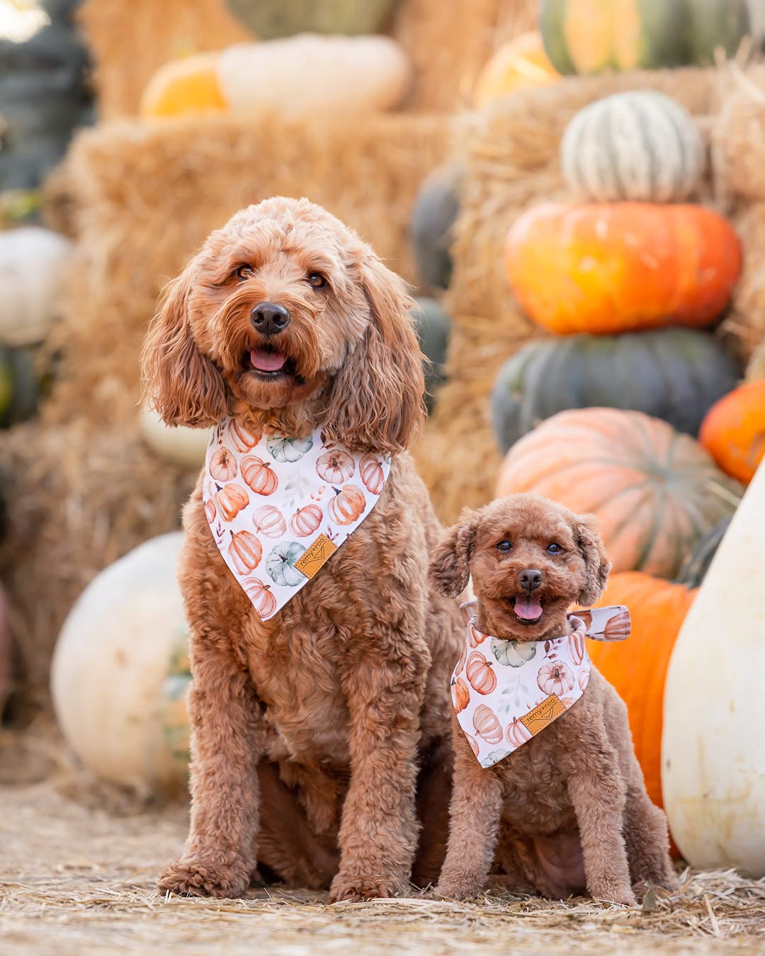 Remy+Roo Fall Dog Bandanas 4 Pack - Amber Set, Premium Durable Polyester Fabric, Patented Curved Design, Adjustable Fit For Smal