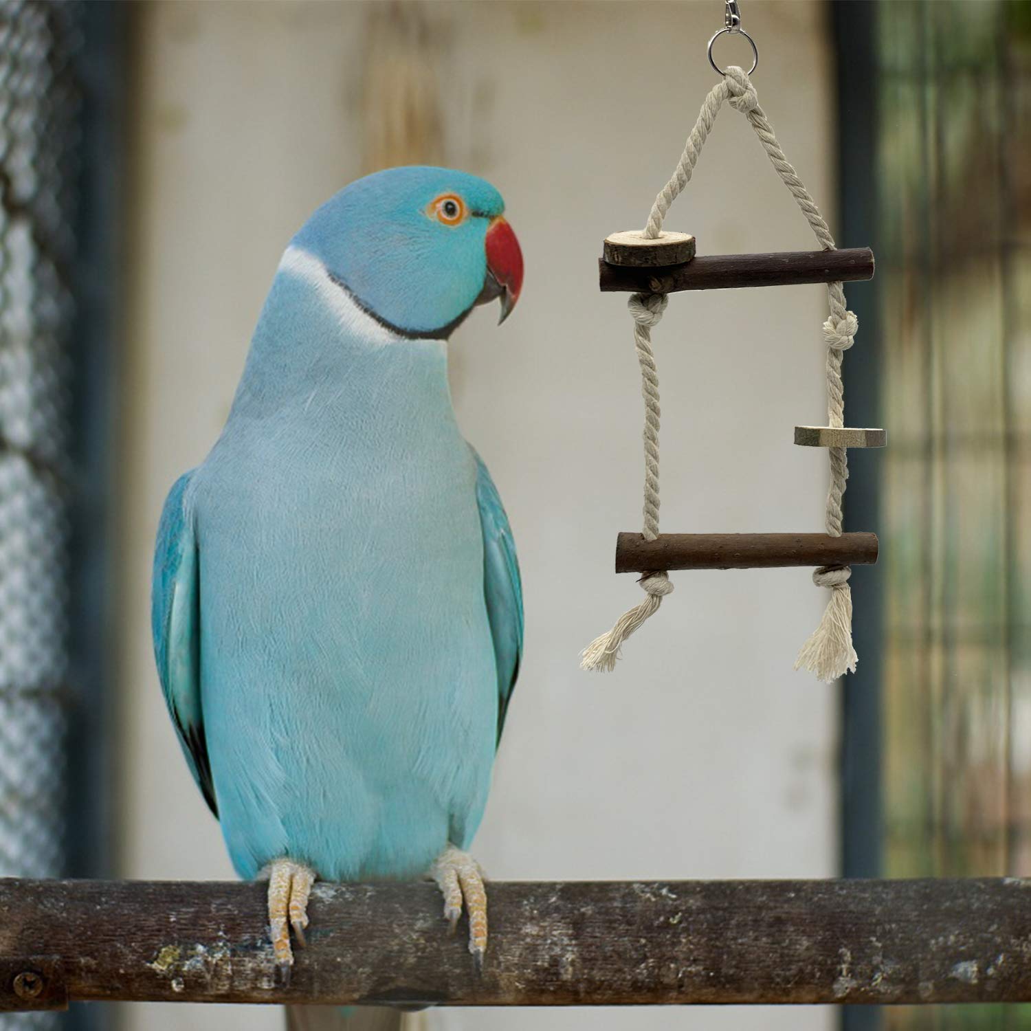 Ebaokuup Bird Parrot Perch Stand Set - 10 Pcs Natural Wood Bird Parakeet Stand Branch, Fork Perch Rod Stand Paw Grinding Stick Bird Cage Accessories For Pet Budgies Cockatiels Conure Lovebirds