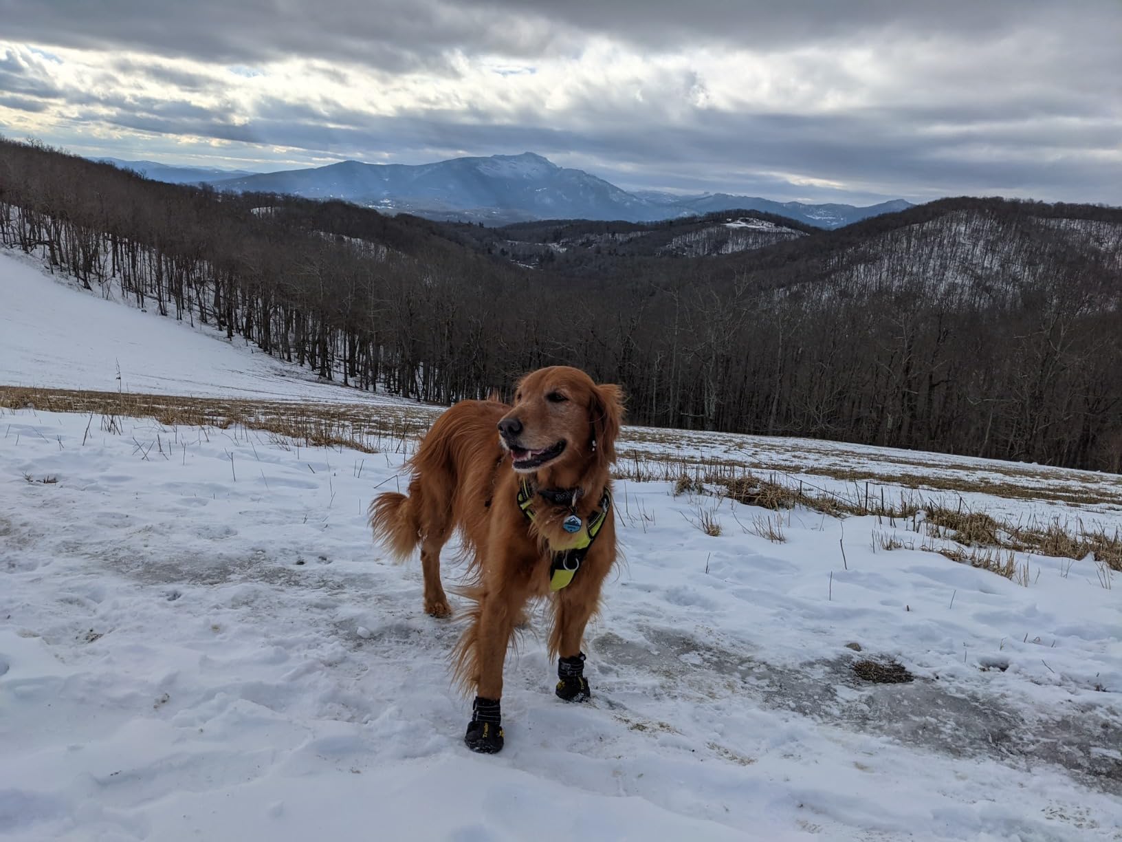 Expawlorer Anti-Slip Dog Shoes - Winter Booties With Reflective Strap, Waterproof Rain Boots For Large Dogs, Paw Protectors For