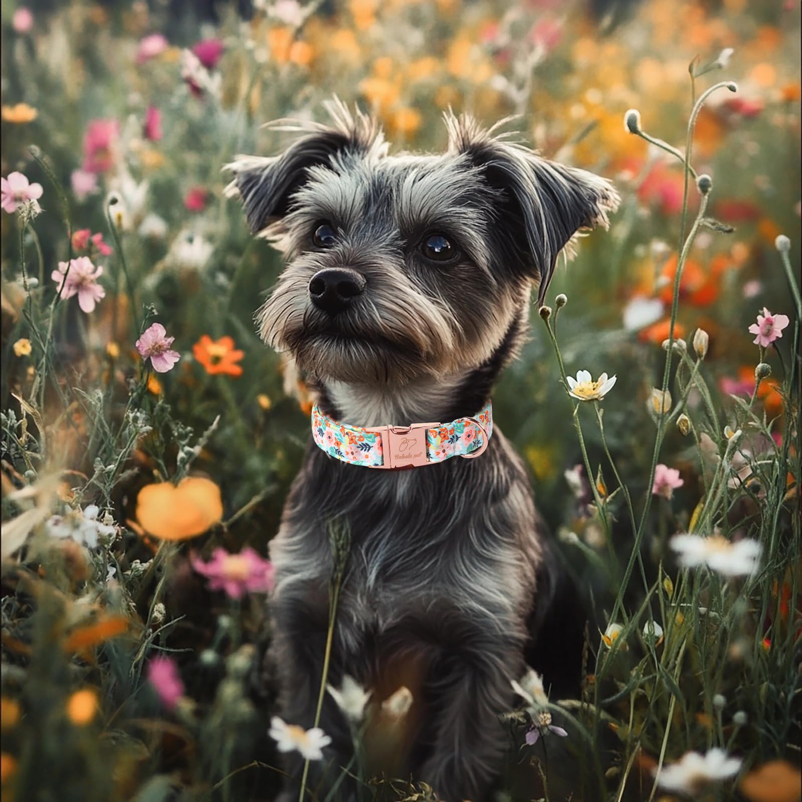 Babole Pet Summer Floral Dog Collar - Adjustable Cute Flower Dog Collars For Medium Dogs Male Female Pet Soft Padded Metal Buckl