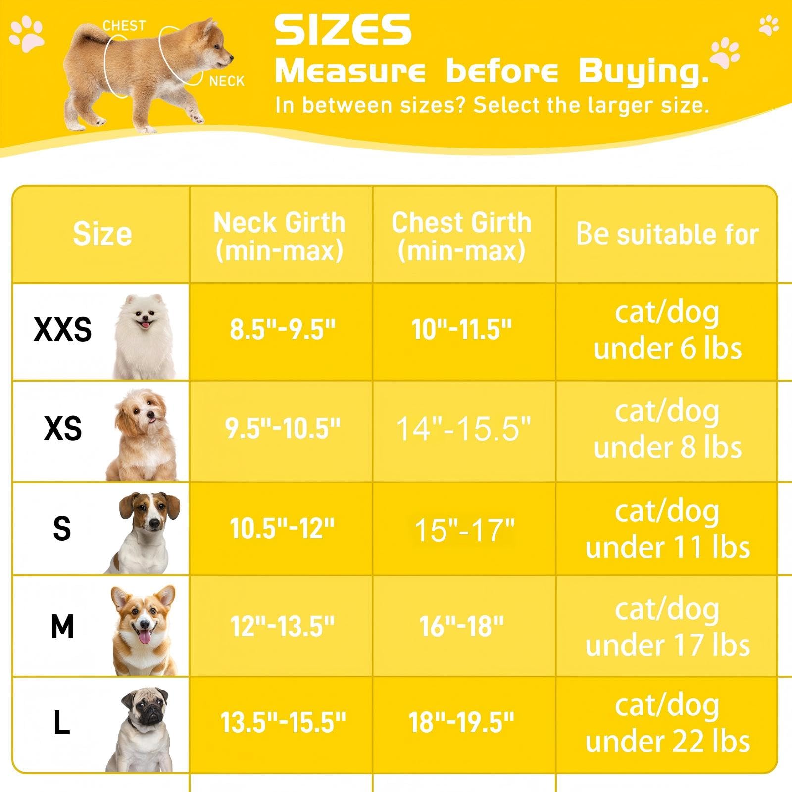 Hihanhan Soft Mesh Dog Harness And Leash Set, No Pull Puppy Harness And Leash Set, Reflective Step In Harness For Small Medium D