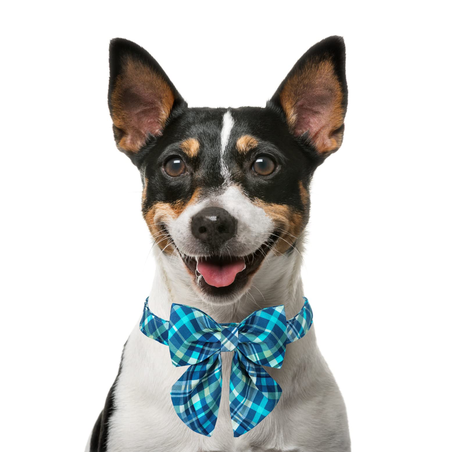 Maca Bates Dog Collar-Colorful Grid And Ripple Pattern Sailor Bow Tie,Adjustable Collar With Metal Buckle For Cat And Dog