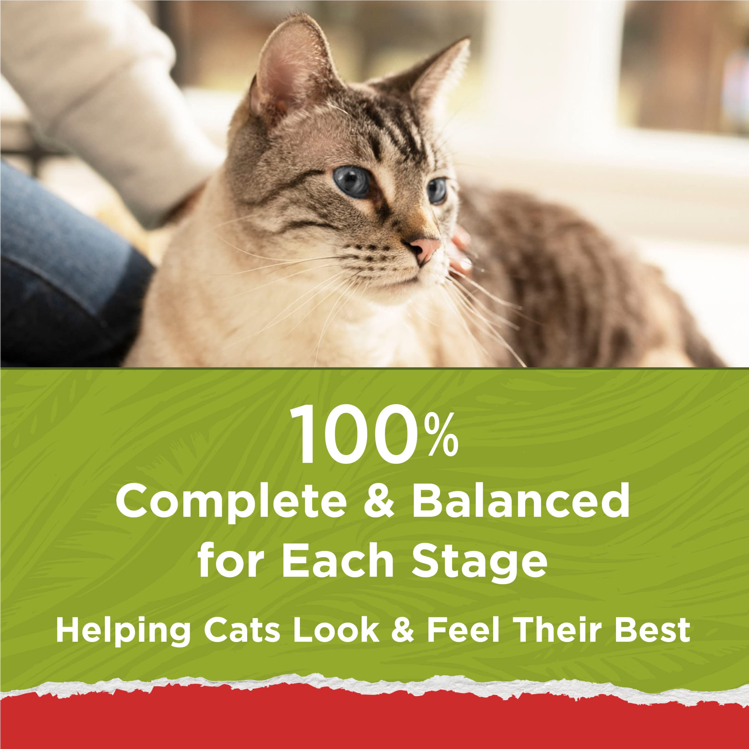 Purina Cat Chow Naturals With Added Vitamins, Minerals and Nutrients Dry Cat Food, Naturals Original - (Pack of 4) 3.15 lb. Bags