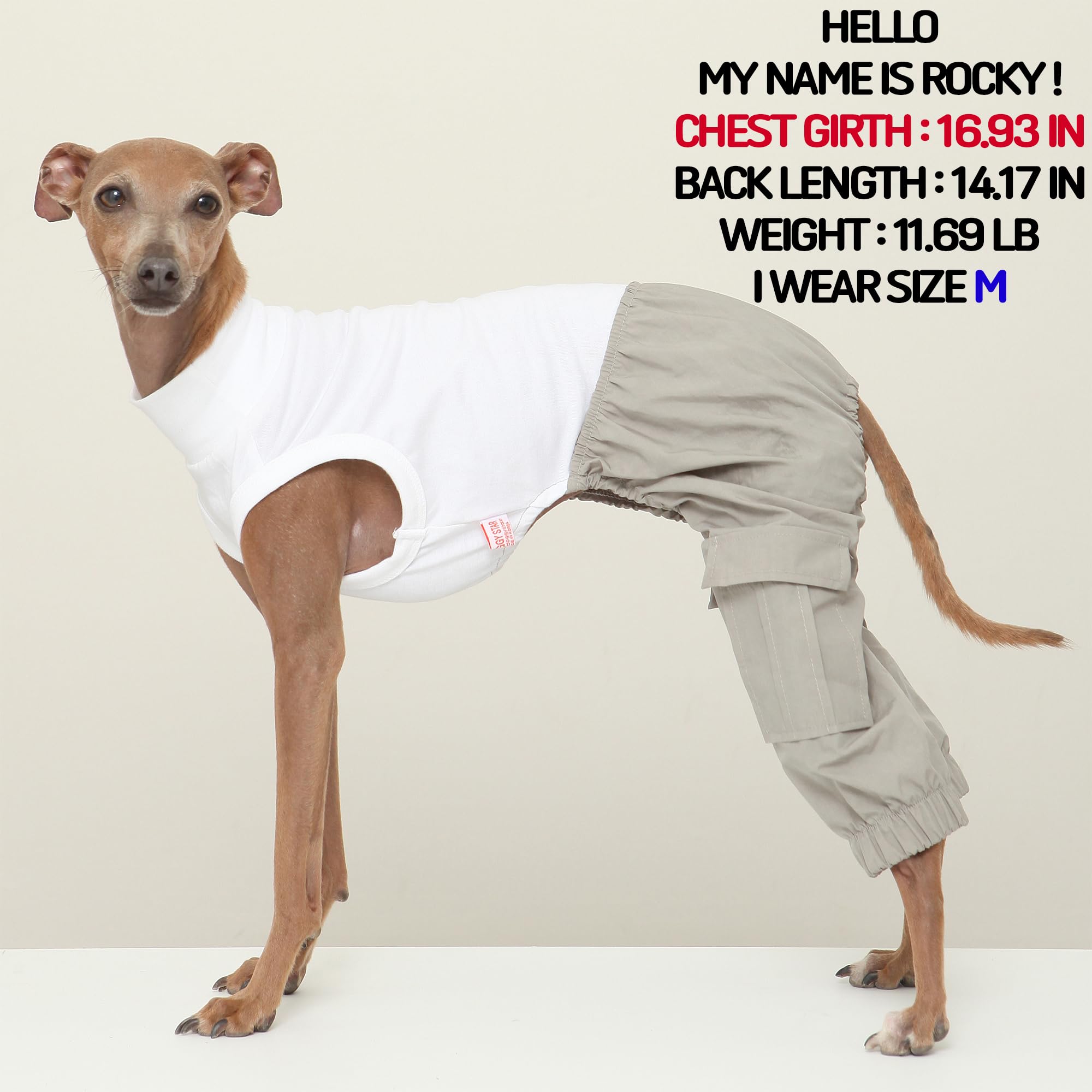 D Doggy Star Italian Greyhound Clothes Cargo Pants Onesie Outfit Whippet For Dog Coat (L,Grey Cargo)