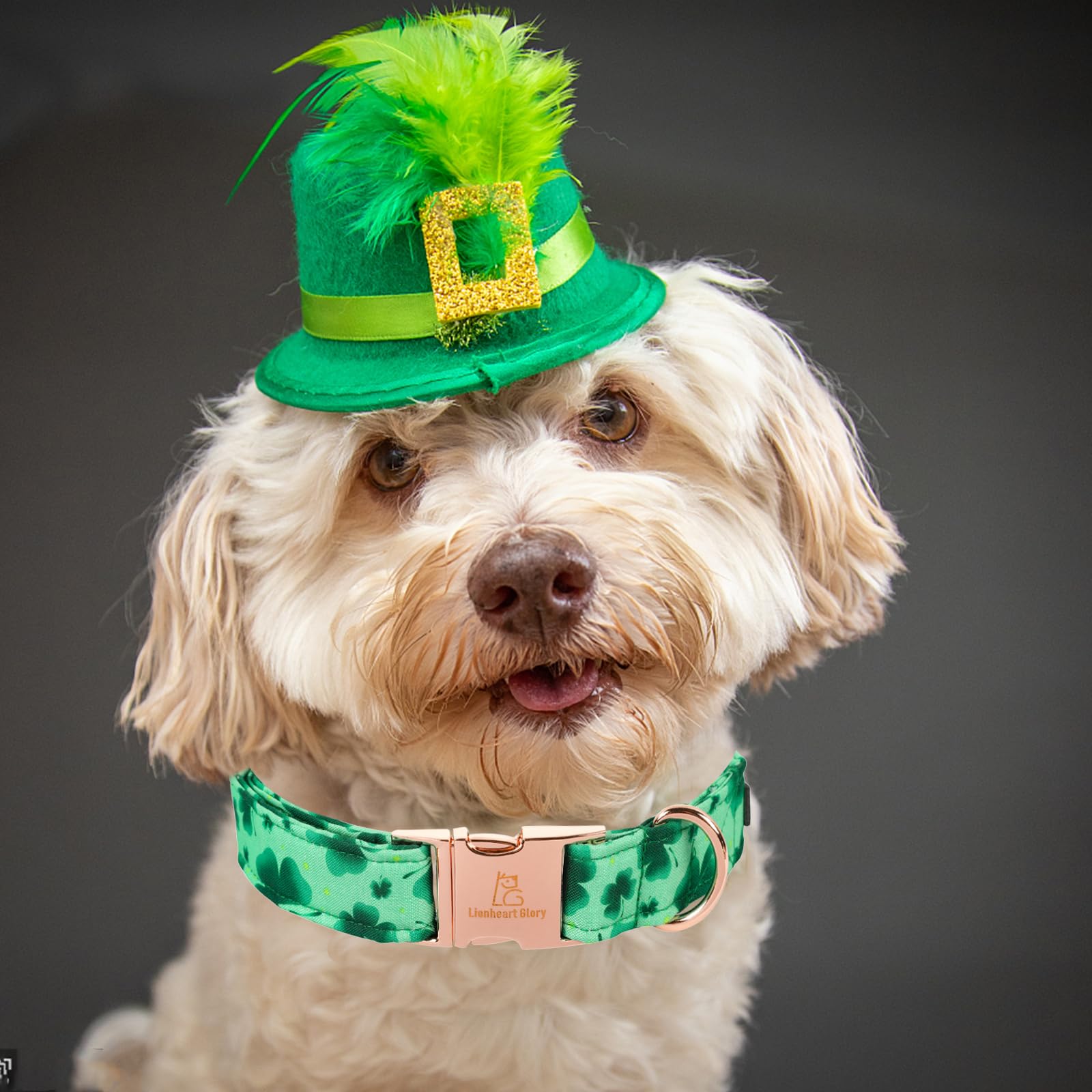 Lionheart Glory St. Patrick'S Day Dog Collar, Green, Cotton, Unique Design, Handmade Bow, Multiple Sizes, Xs, Small Dog