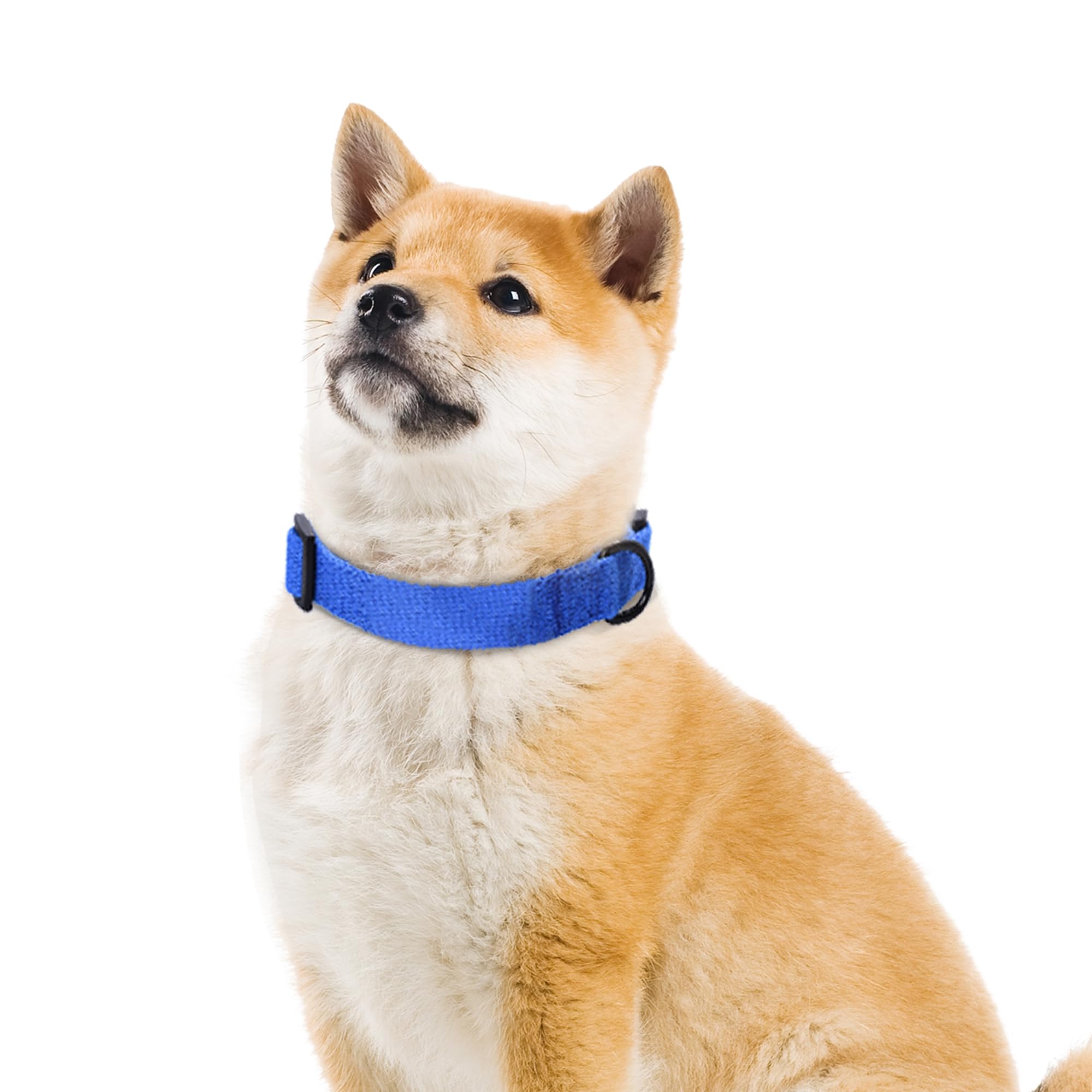 Mile High Life Soft & Strong Poly Cotton Adjustable Dog Collar With Quick Release Buckle For Small To Large Dogs(Blue, Large Nec