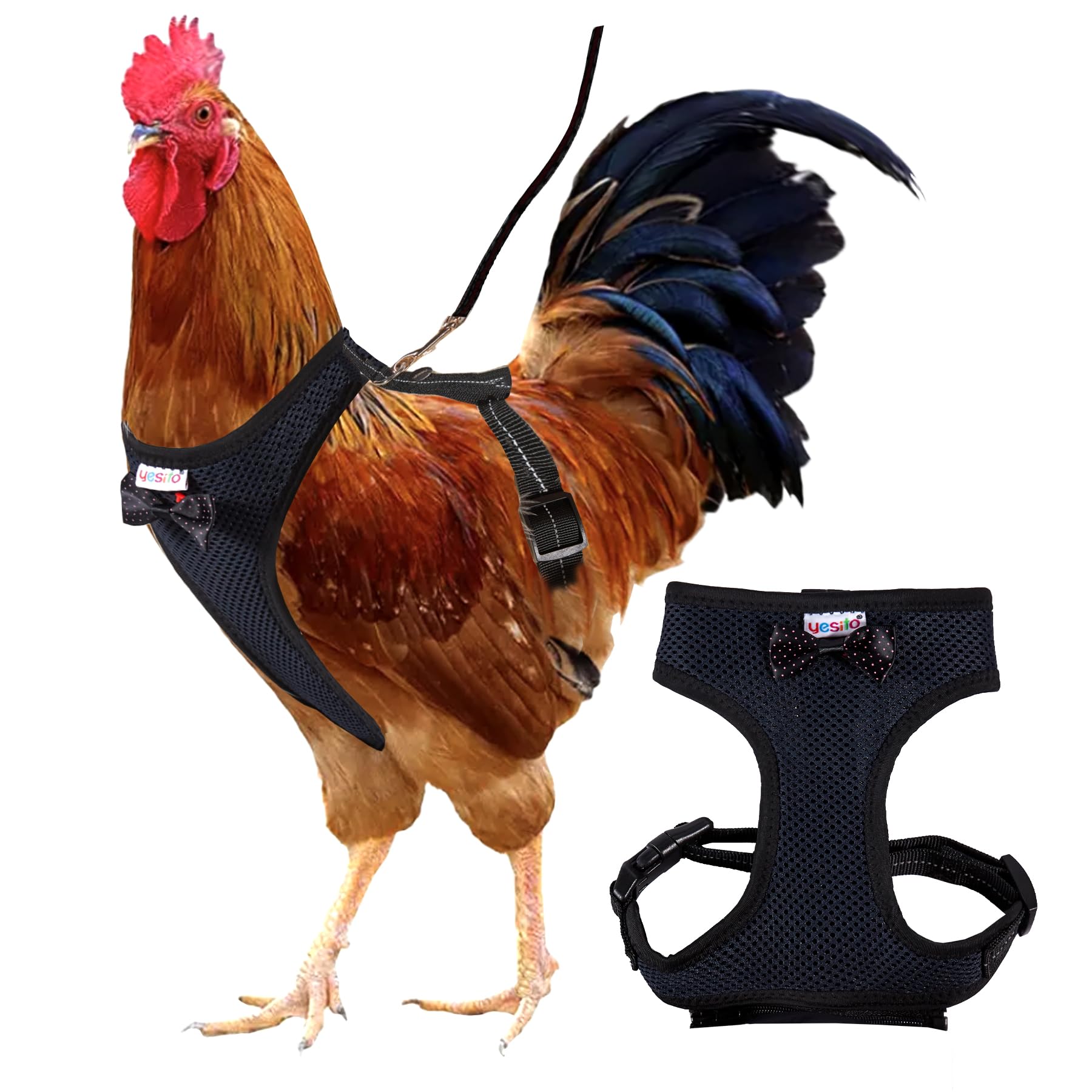 Yesito Chicken Harness Hen Size with 6ft Matching Leash - Adjustable, Resilient, Comfortable, Breathable, Large, Suitable for Ch