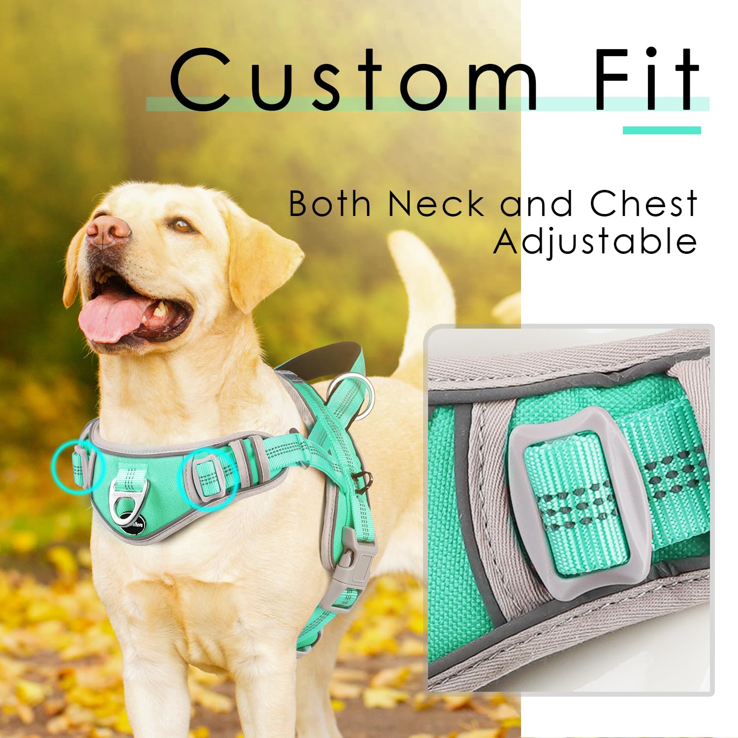 Adventuremore Small Dog No Pull Harness With Qr Code Tag, Adjustable Reflective Vest, Front Clip Handle For Training Walking Tea