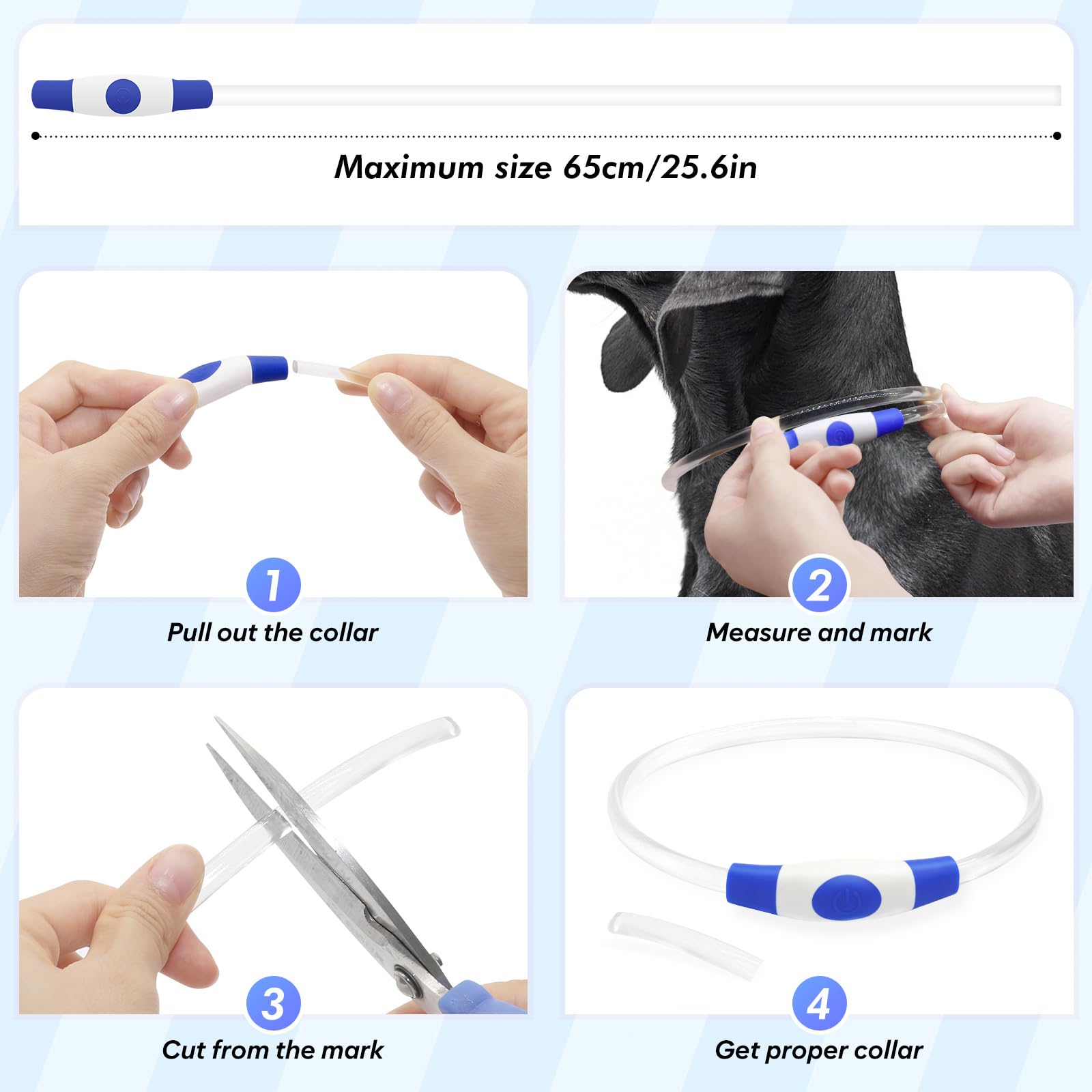 Bseen Light Up Dog Collar, Rechargeable Led Dog Collar For Night Safety, Waterproof Tpu Glowing Puppy Collar Safety Dog Lights For Night Walking (Blue)