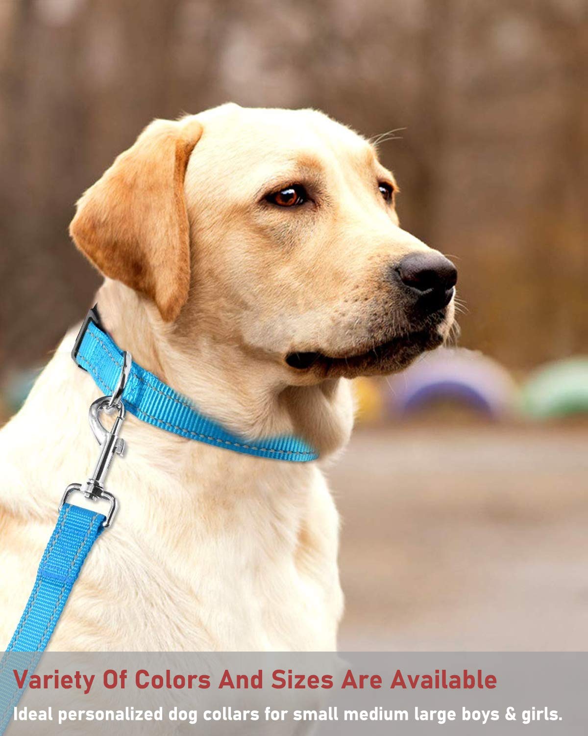Reflective Dog Collar With Buckle Adjustable Safety Nylon Collars For Small Medium Large Dogs, Sky Blue Xs