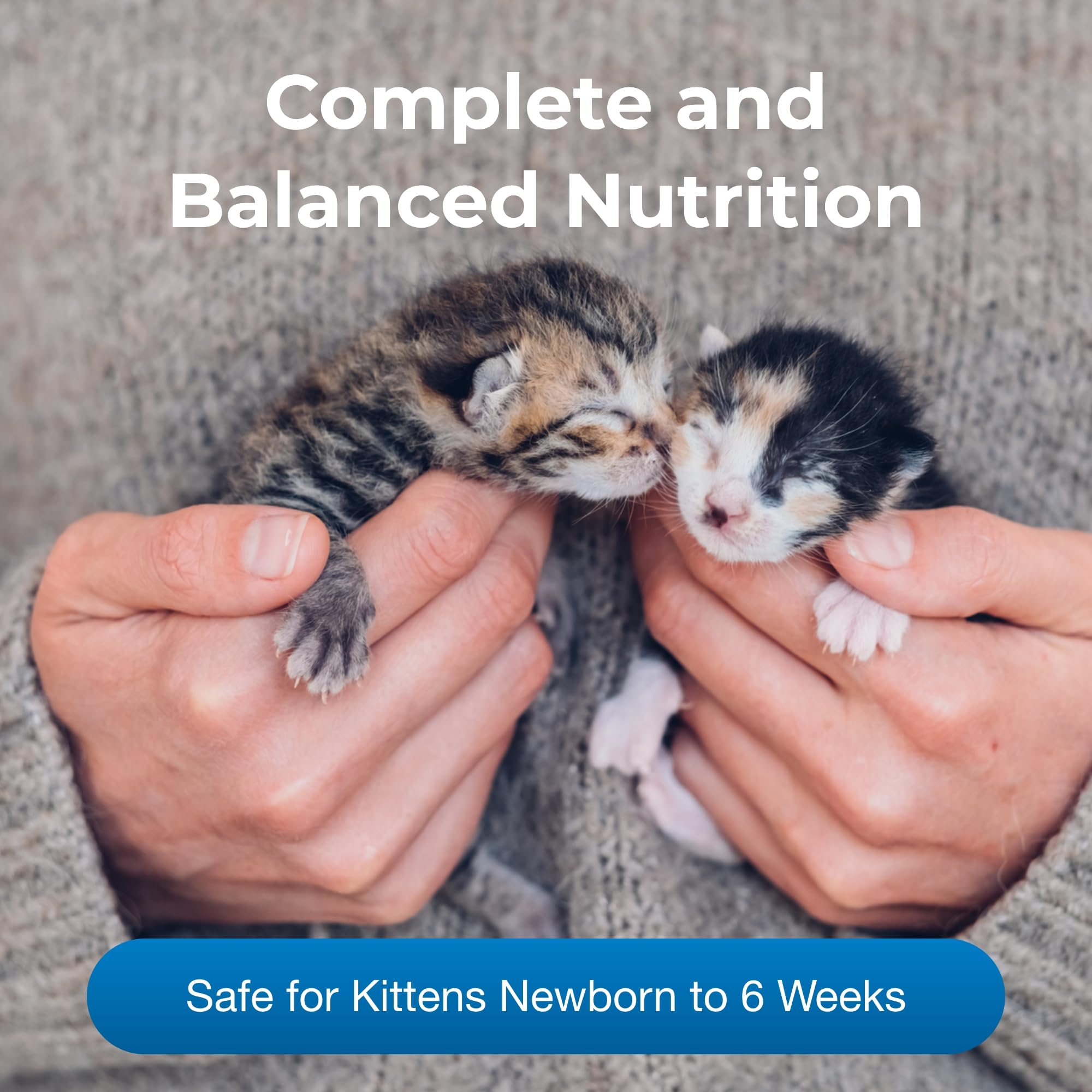 Pet-Ag KMR Kitten Milk Replacer Powder - 12 oz, Pack of 3 - Powdered Kitten Formula with Prebiotics, Probiotics & Vitamins for K