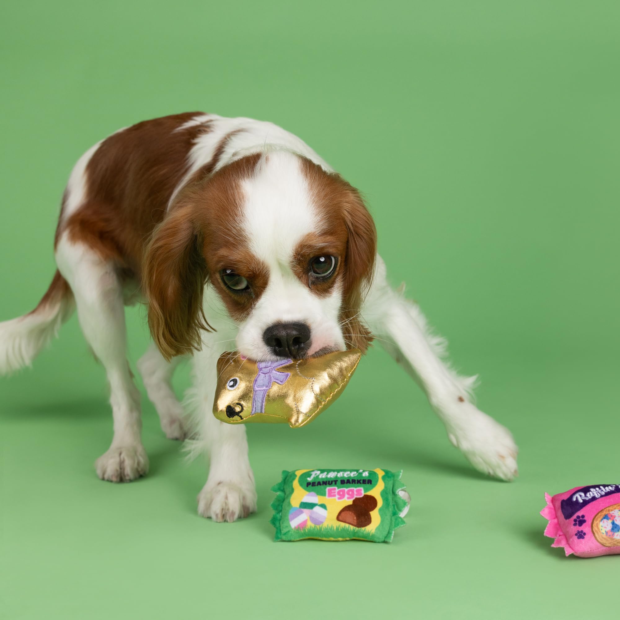 Fringe Studio Plush Dog Toy, 3 Pieces Set, Egg-Stra Sweets, Petshop Collection (662100)