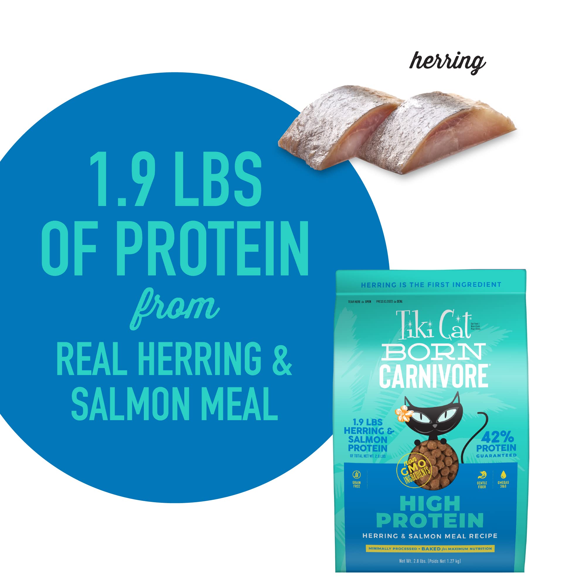 Tiki Cat Born Carnivore High Protein, Herring & Salmon Meal, Grain-Free Baked Kibble to Maximize Nutrients, Dry Cat Food, 2.8 lb