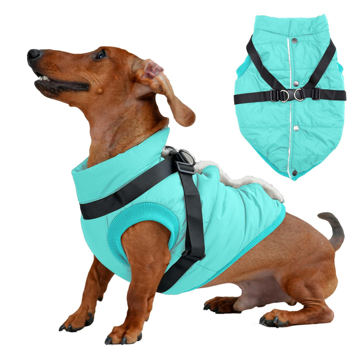 Joydaog Dog Jacket With Harness,Fleece Lined Warm Puppy Coat For Winter,Soft Windproof Medium Dog Vest,Bluegreen L
