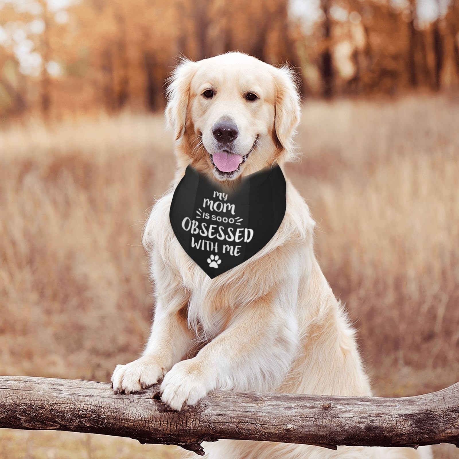 My Mom Is So Obsessed With Me Dog Bandana Scarf Triangle Bibs Pet Accessories Cat Kerchief