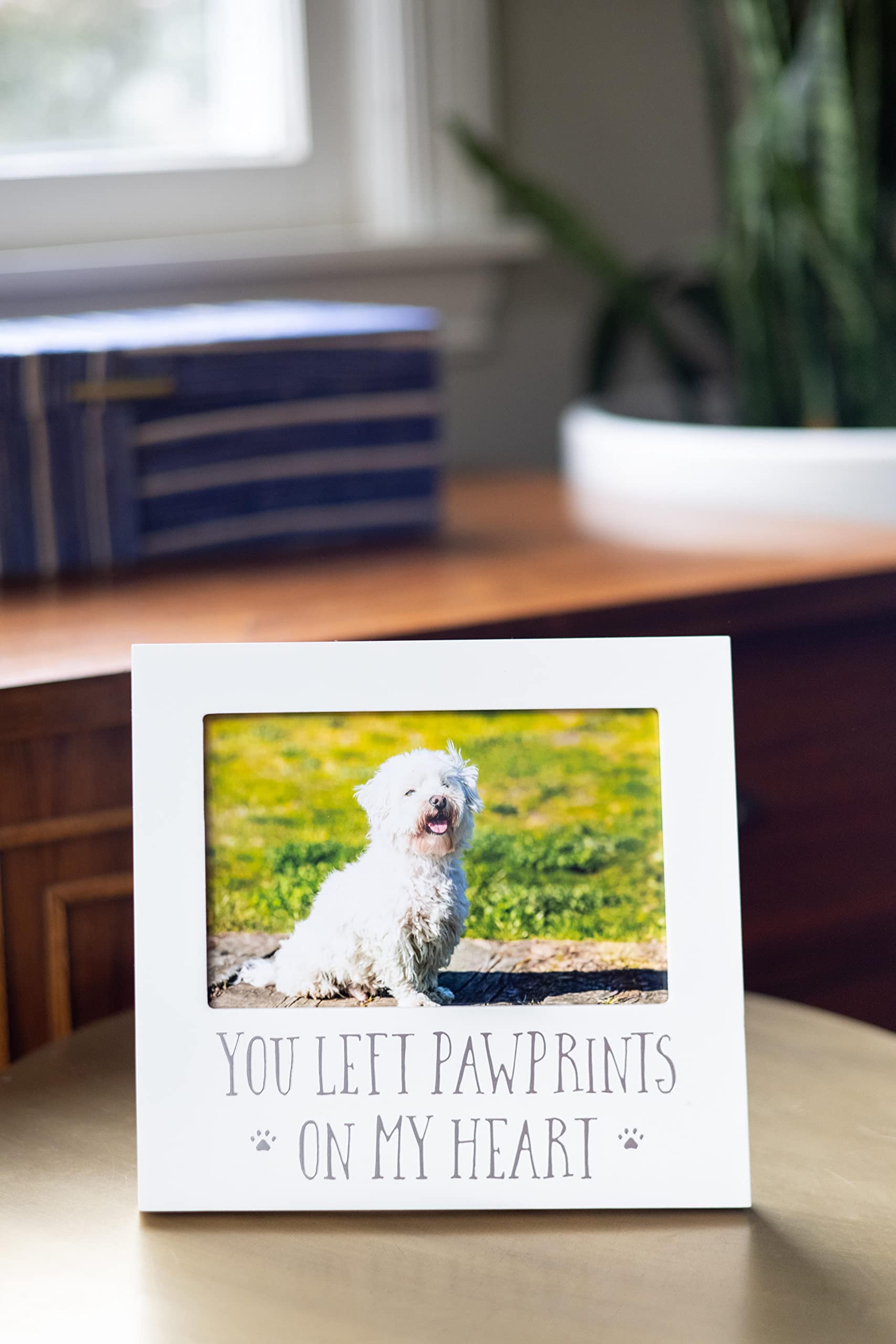 Pearhead Pet Keepsake Picture Frame - You Left Pawprints on my Heart - White - Model 83026 - Ideal for Dog or Cat Owners