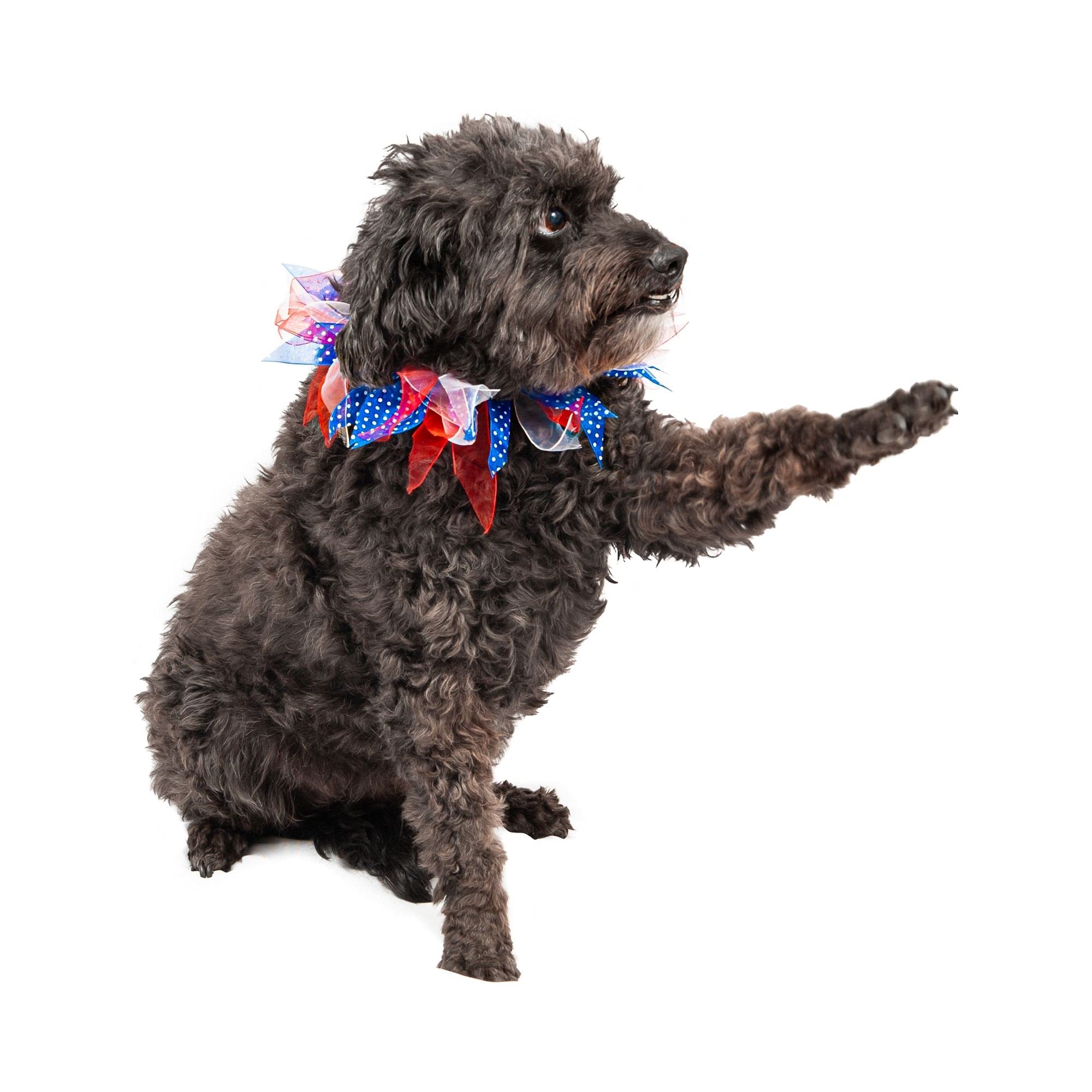 Midlee Medium Patriotic Dots 4Th Of July Dog Collar