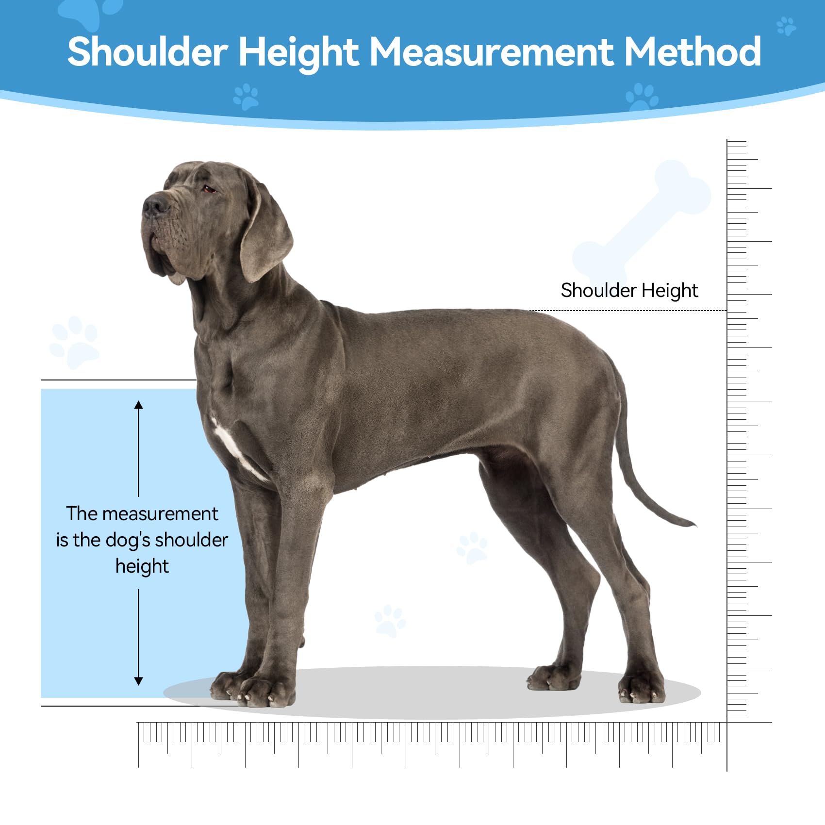 Dog Breeding Stand, Stainless Steel Breeding Stand For Dogs, Shoulder Height 17.5 In-35.5 In,Pet Fixed Bracket For Medium To Lar