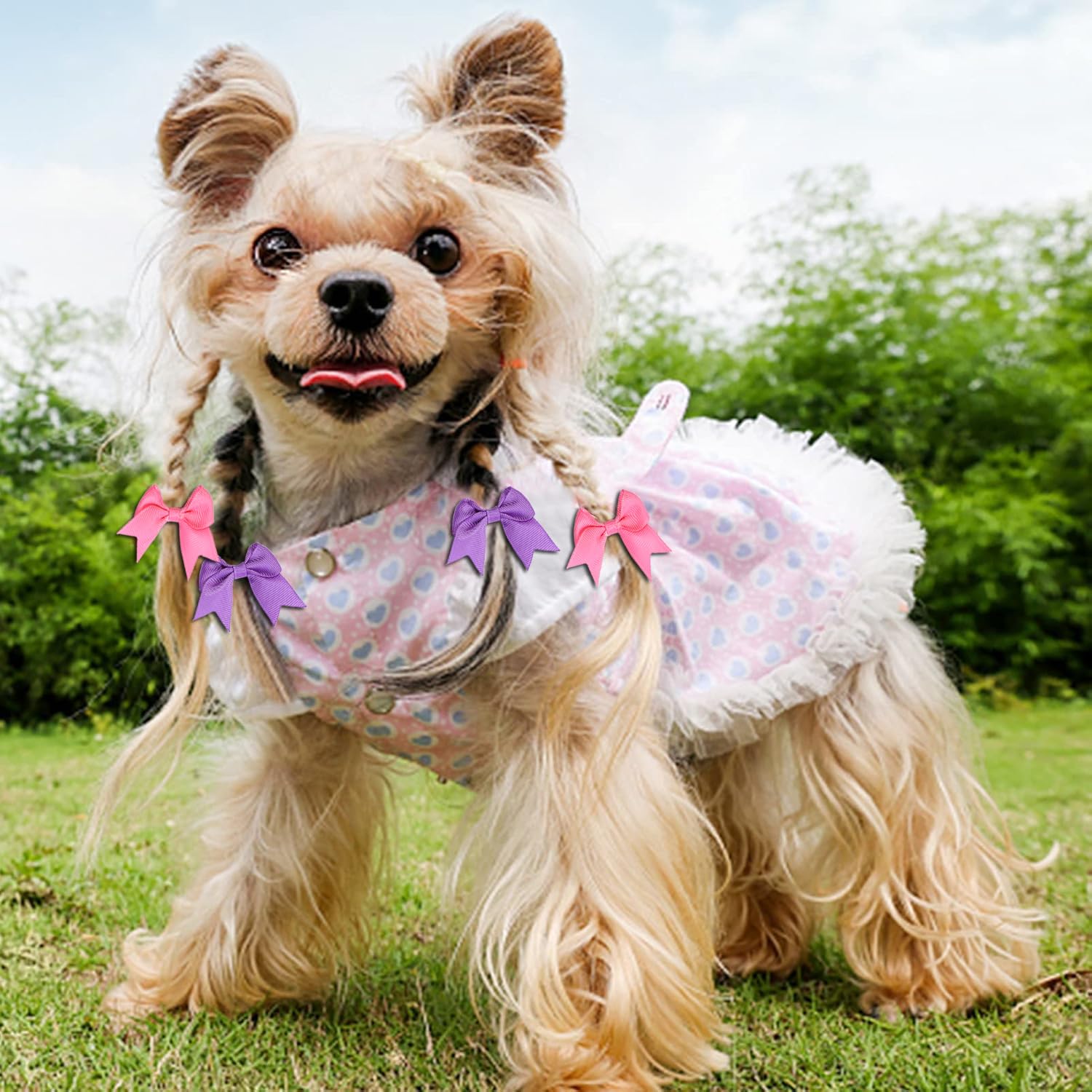 Clipband Puppy Dogs Hair Barrettes Bows With Rubber Bands,Hair Accessories Bow Pet Grooming Cute Pet Small Hair Bowkno