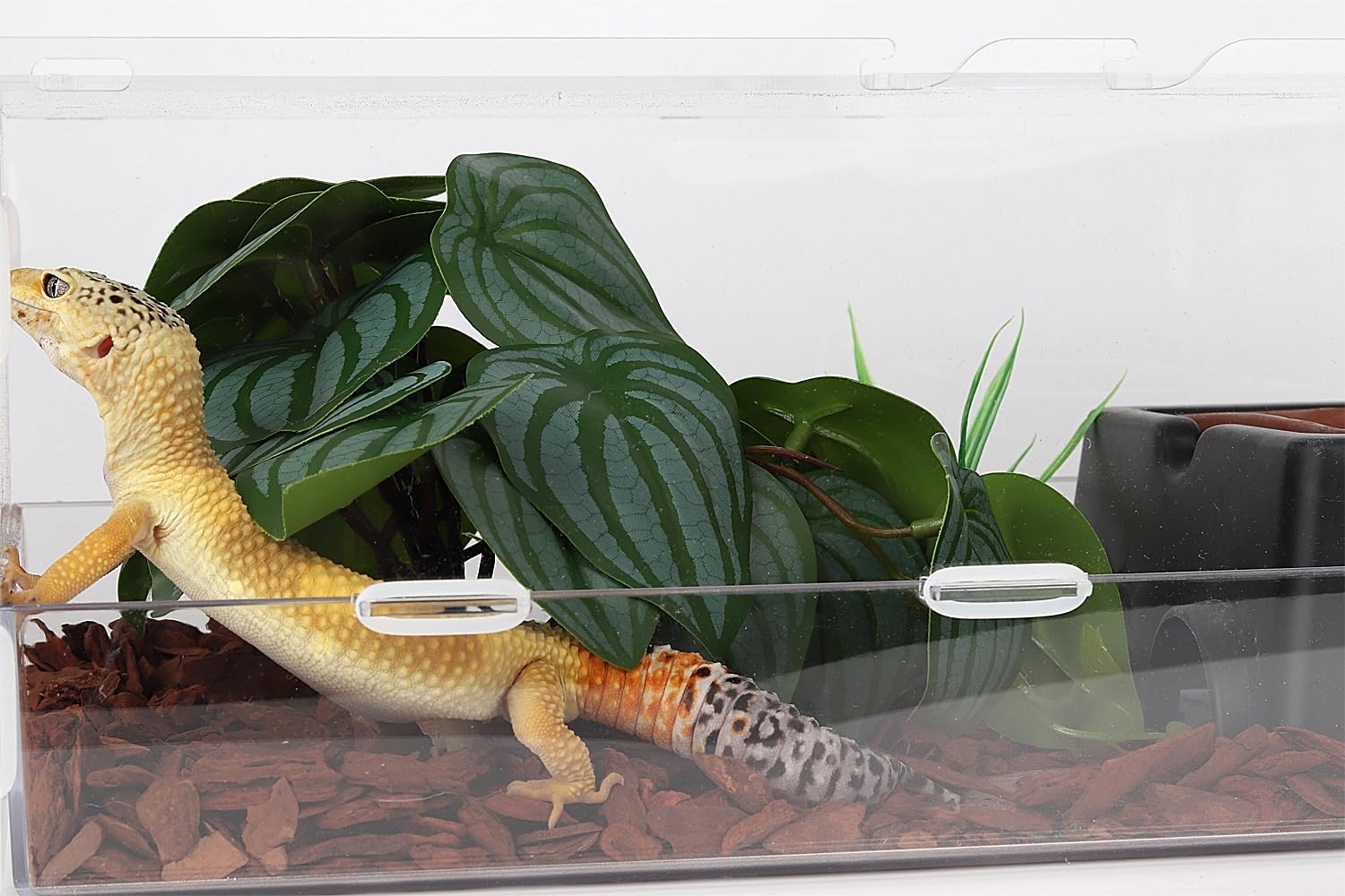 WOLEDOE Reptile Plants for Terrarium, Ball Python Tank Decor Accessories fit Bearded Dragon Crested Leopard Gecko Lizard Chamele