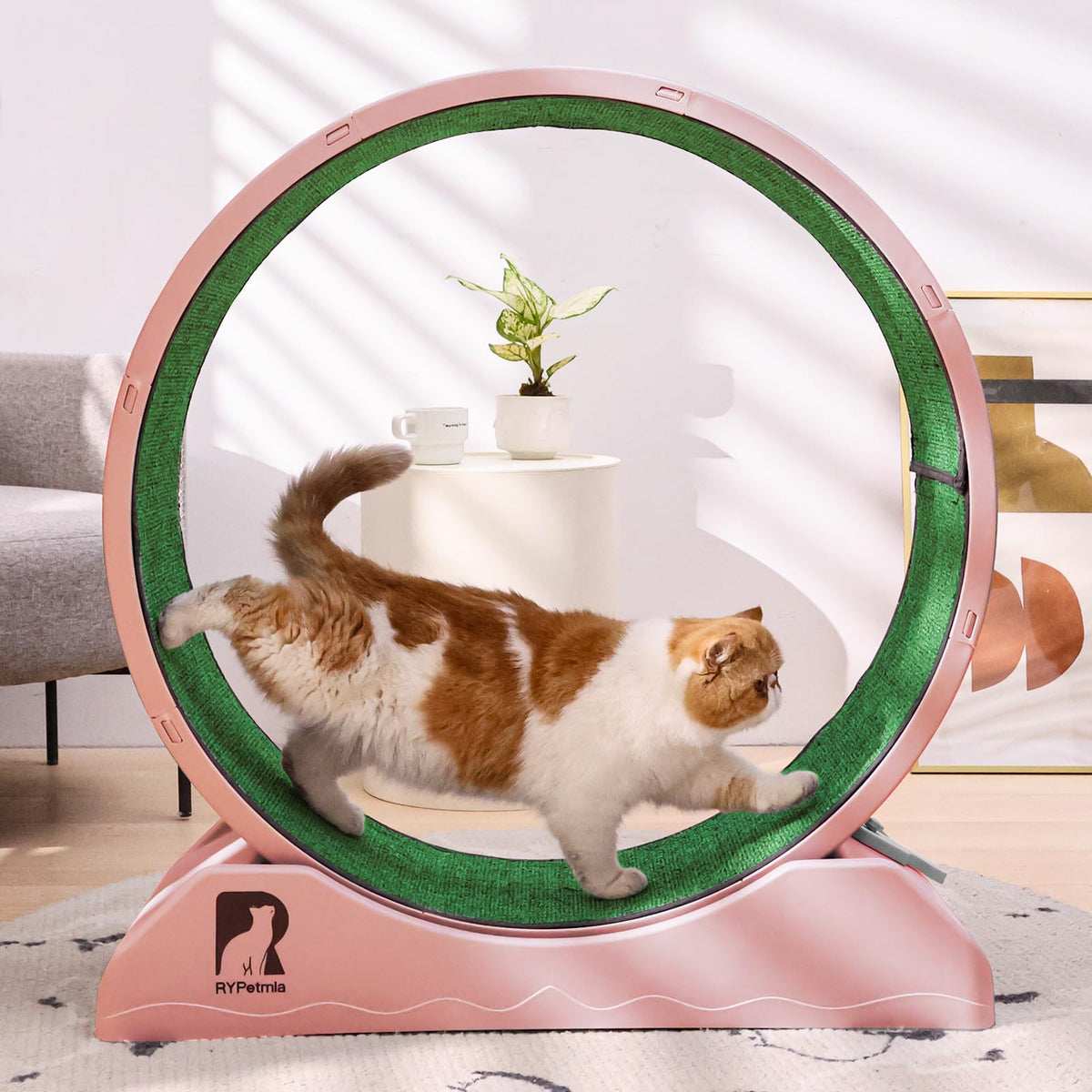 Rypetmia Cat Exercise Wheel, 31.5 Inch Cats Treadmill For Indoor, Cat Running Wheel With Carpeted Runway, Easy To Install & Fitn