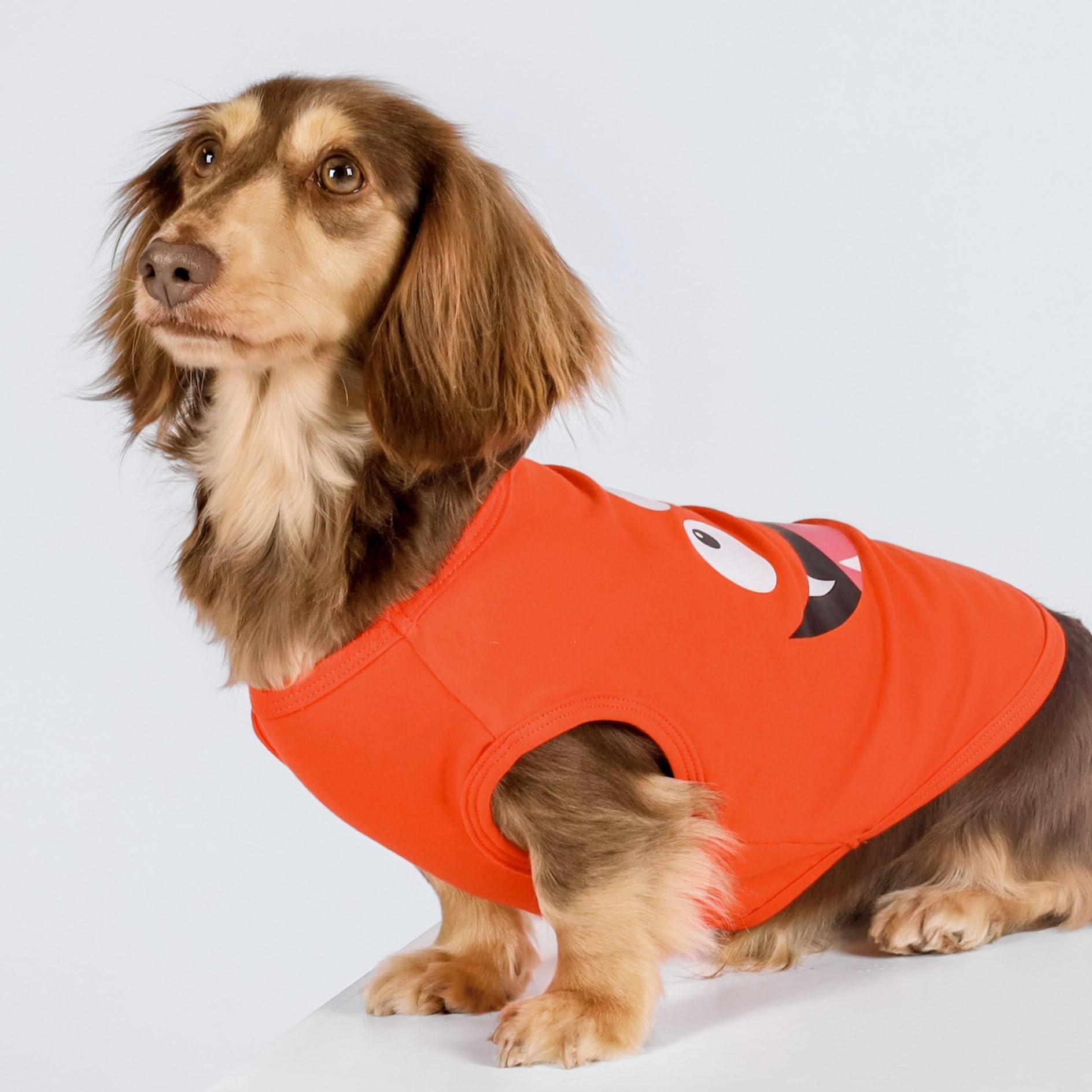 Fitwarm 3 Pack Monster Dog Shirt, Lightweight Funny Dog Tshirt, Summer Clothes For Small Dogs Boy Girl, Pet Outfit, Orange, Gree