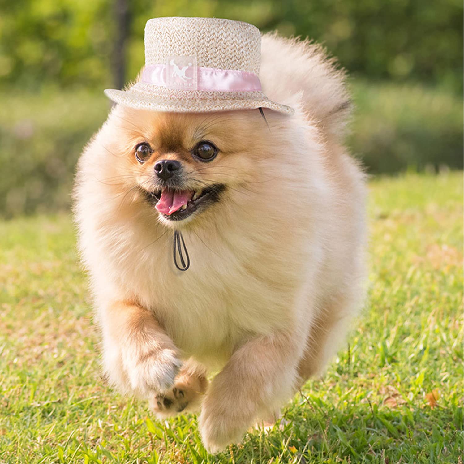 Harikaji Dog Top Hat,Pet Round Straw Hat,Dog Visor Mesh Sun Cap,Bucket Cap For Small Medium Large Dog Cats Rabbits(White,Xl)