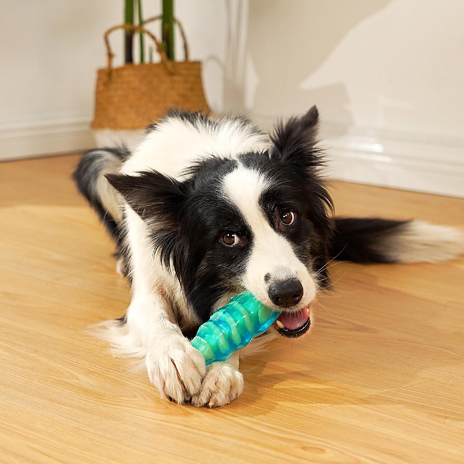 MewaJump Dog Chew Toys for Aggressive Chewers, Tough Dog Toy for Medium and Large Breeds, Indestructible Dog Toys, Durable Dog T