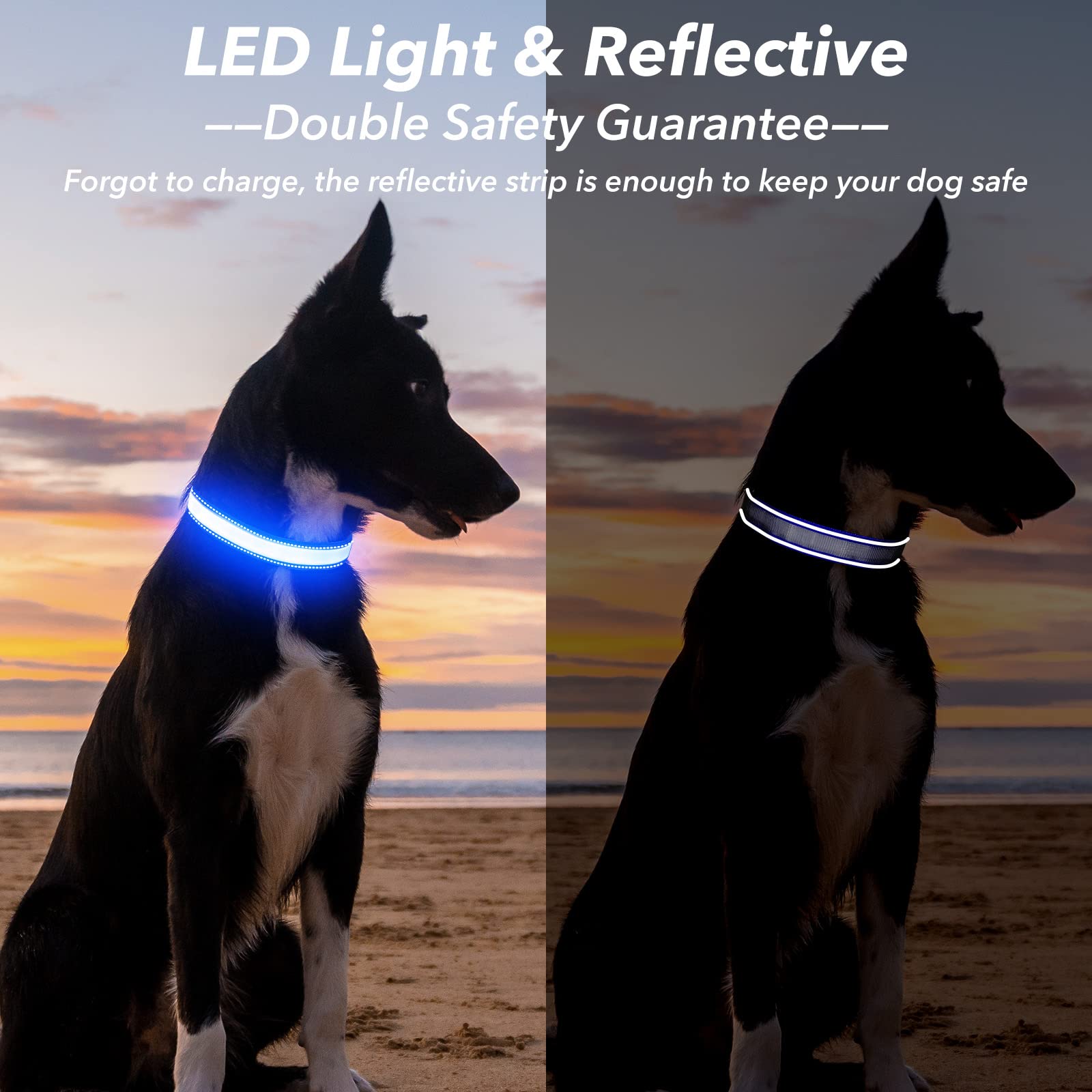 Visinite Light Up Dog Collars For Small Medium Large Dogs, Fully Adjustable Led Dog Collar Usb Rechargeable, 3 Glowing Modes Pet