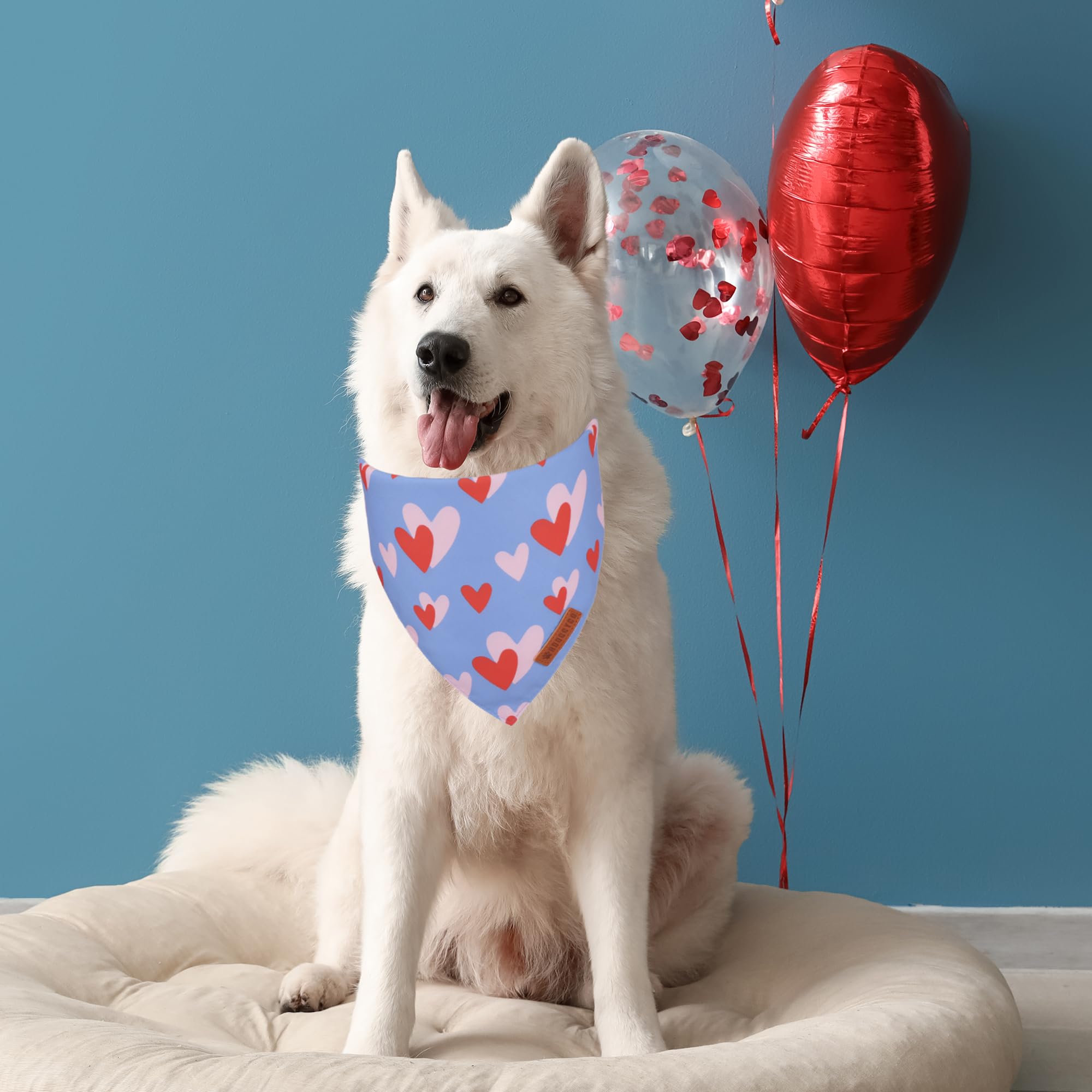 ADOGGYGO Valentine Dog Bandana, Blue Pink Heart Pet Scarf, Premium Durable Fabric, Adjustable Fit Pet Valentine Bandanas for Med