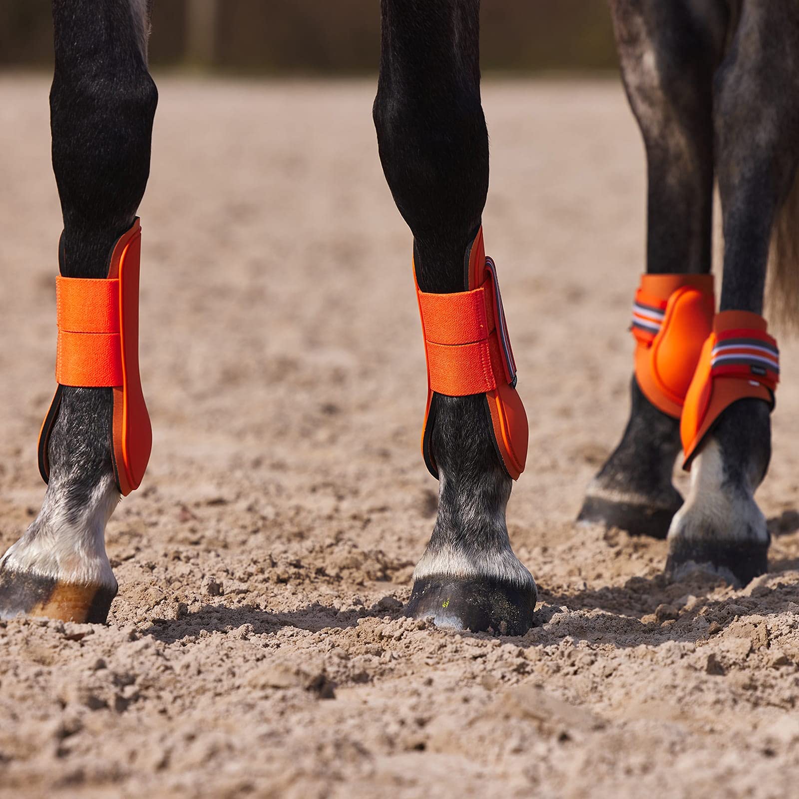 Horze Adepto Open Front Tendon Boots | Durable Shell With Neoprene Lining - Coral Gold - Horse