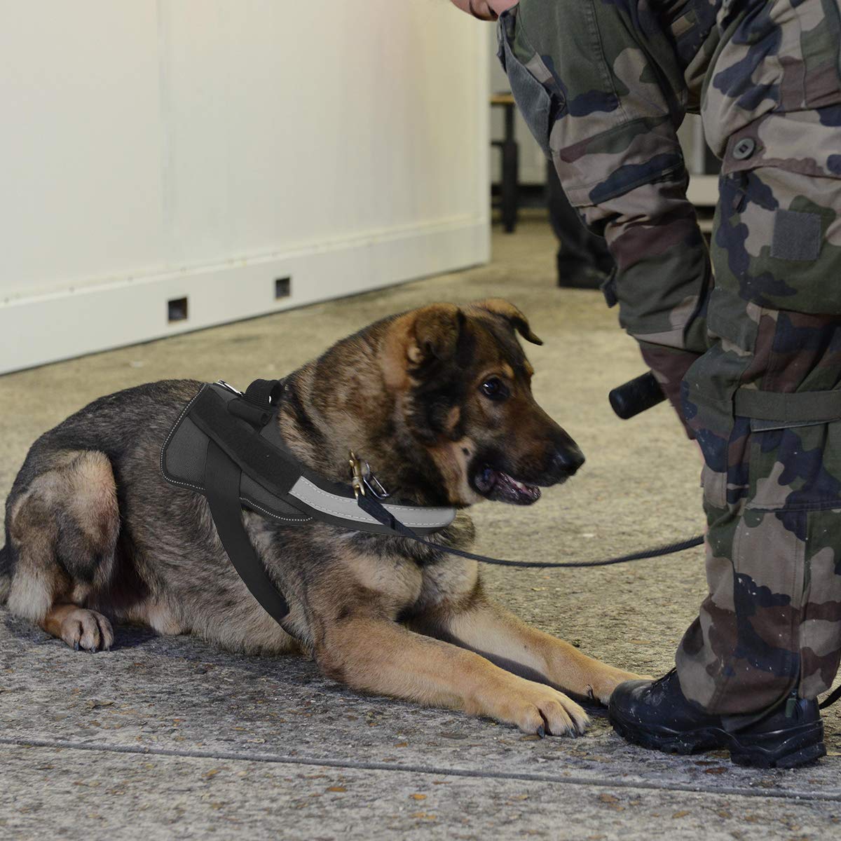 Bolux Dog Harness, No-Pull Reflective Dog Vest, Breathable Adjustable Pet Harness With Handle For Outdoor Walking - No More Pulling, Tugging Or Choking (Black, Xxl)