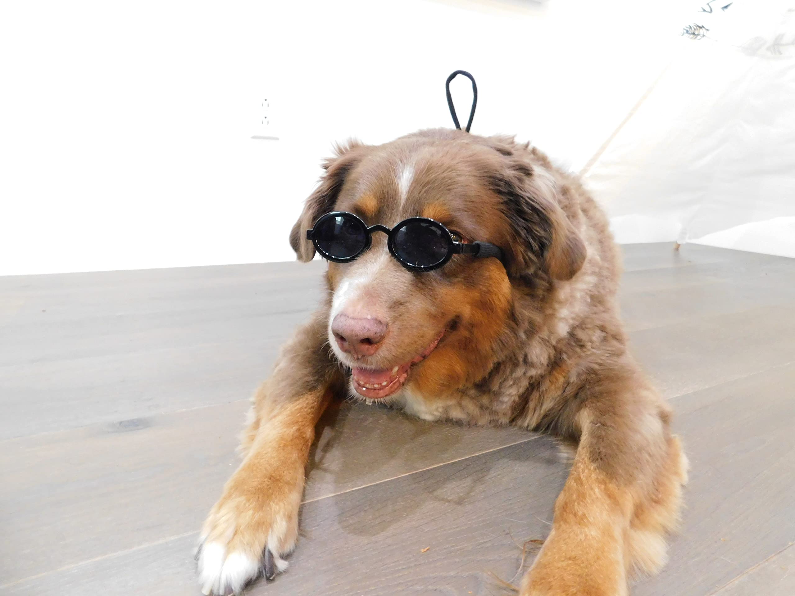 G001 Dog Cat Pet Costume Thin Oval Sunglasses Small To Medium Breeds 15-30Lbs (Ov Black)