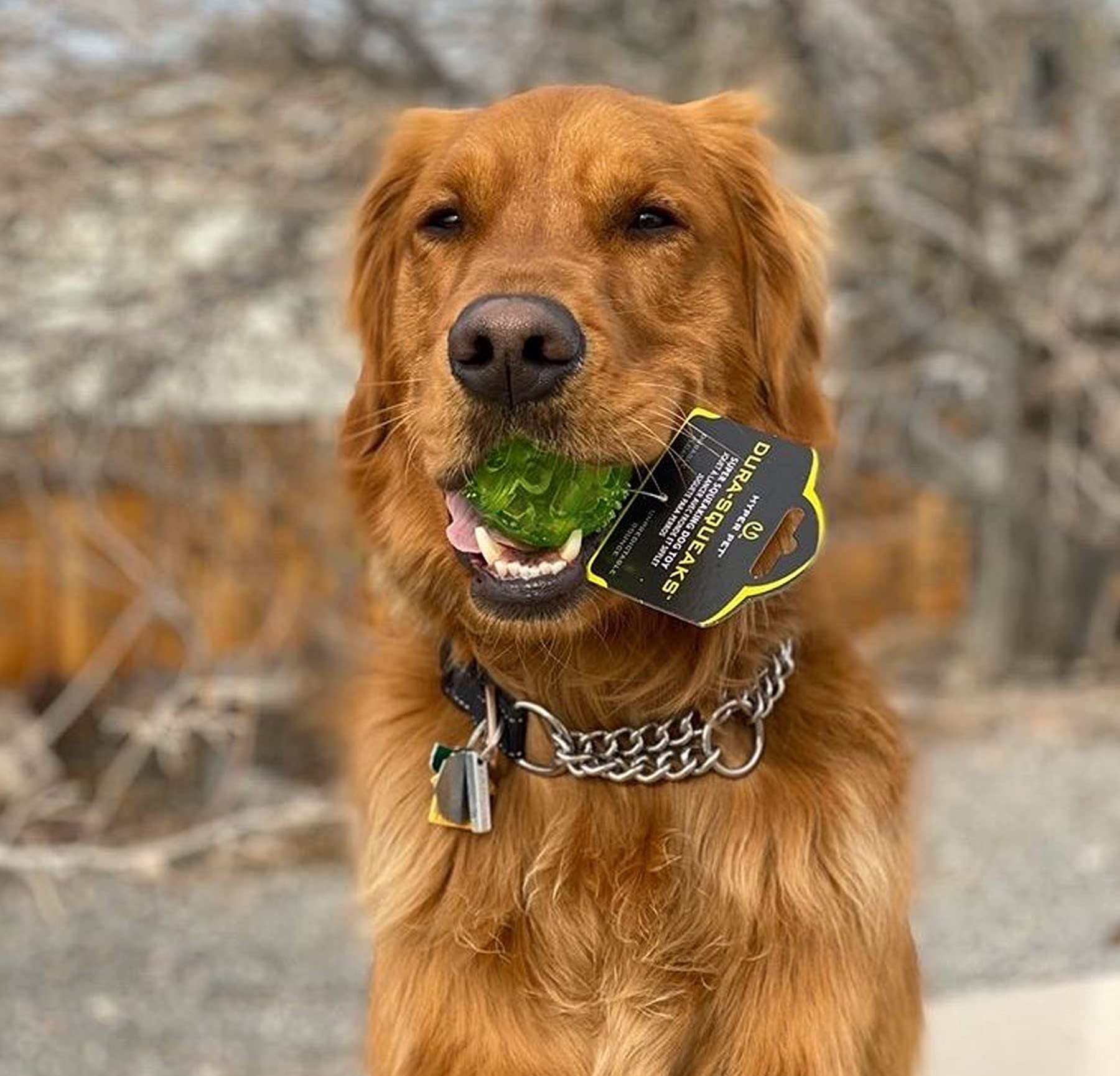 Hyper Pet Durasqueak Dog Ball Dog Toys (Interactive Dog Toys That Float & Squeak) Squeaky Dog Toys & Dog Balls For Playing, Fetching & Retrieving-Great Alternative To Traditional Dog Tennis Balls-3.5'